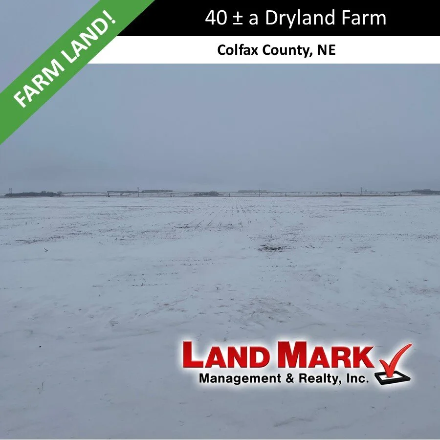 40 Acres Dryland County Farm