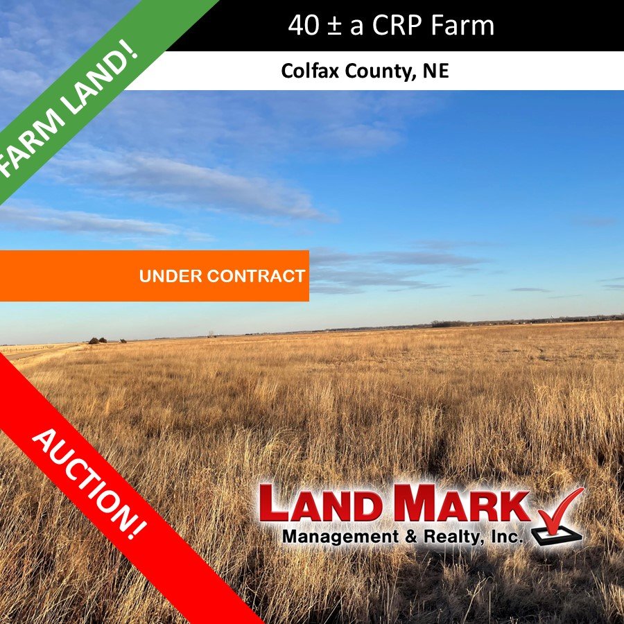 AUCTION: 40 +/- Acre CRP Colfax Co. Farm