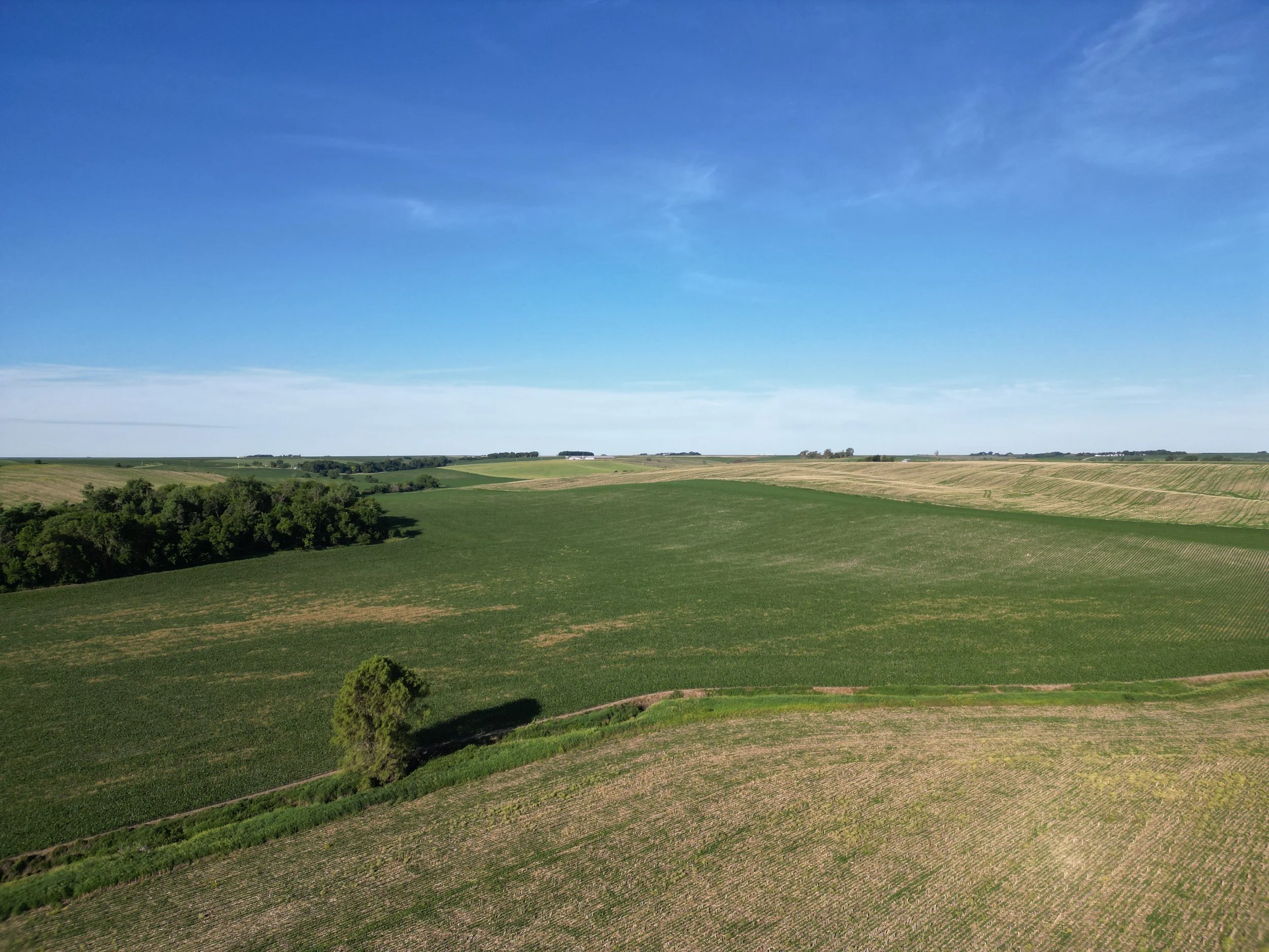 DJI_0307.JPG