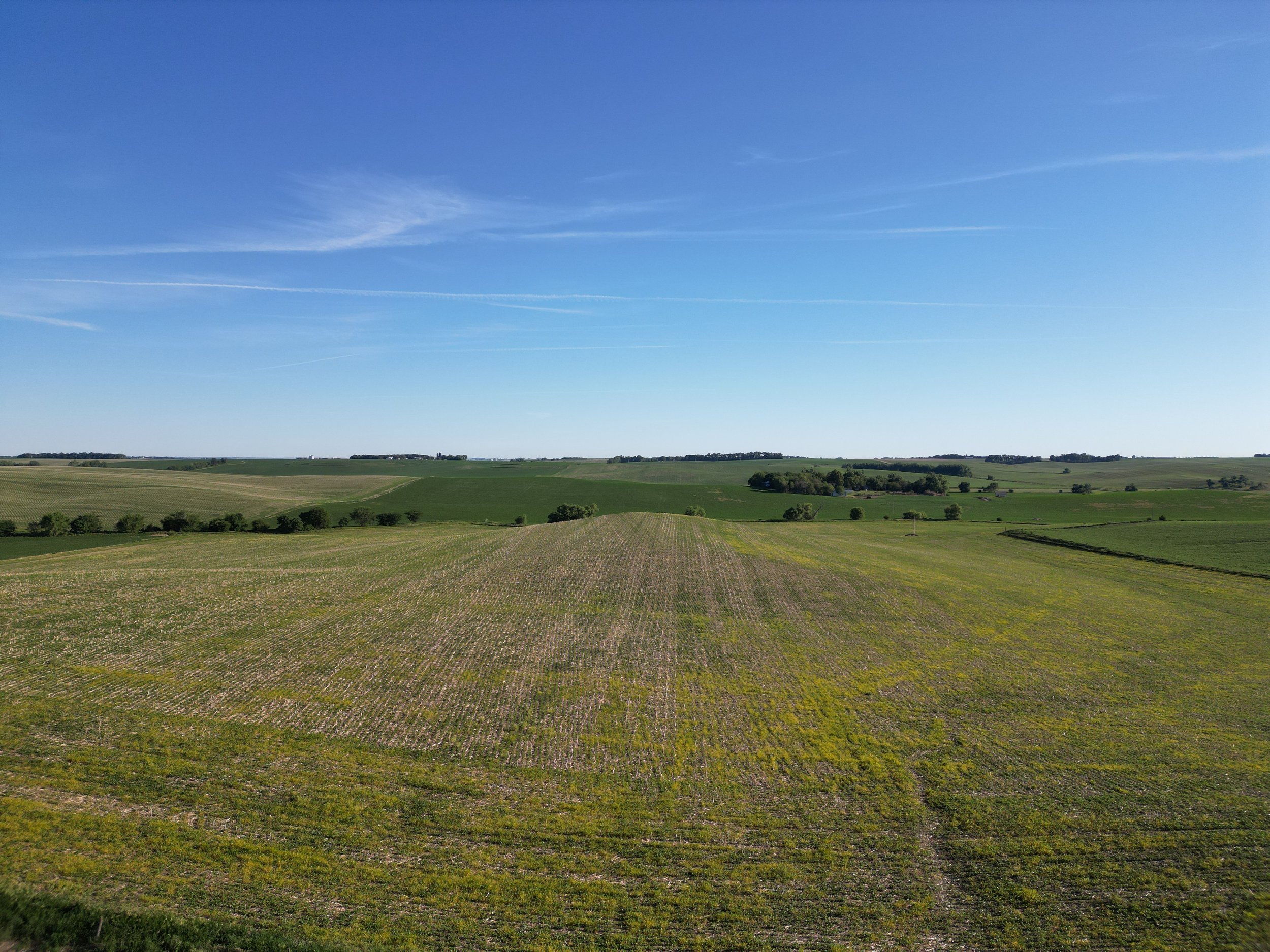 DJI_0314.JPG
