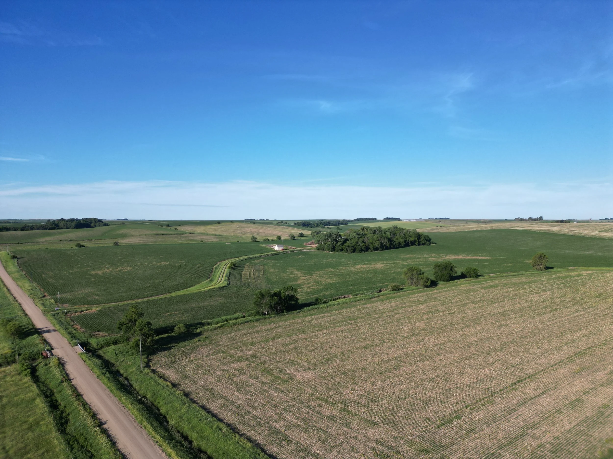 DJI_0305.JPG