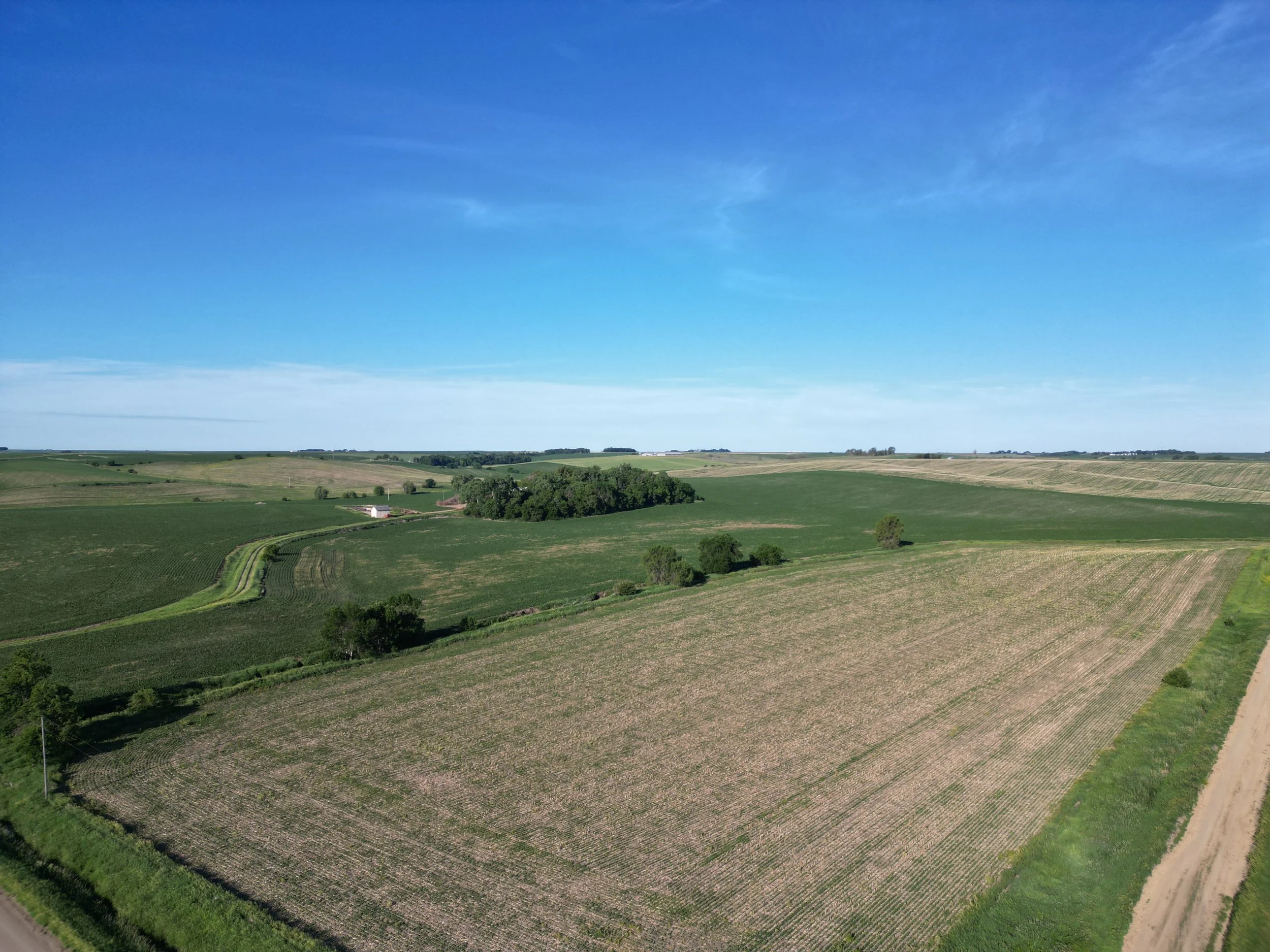 DJI_0306.JPG