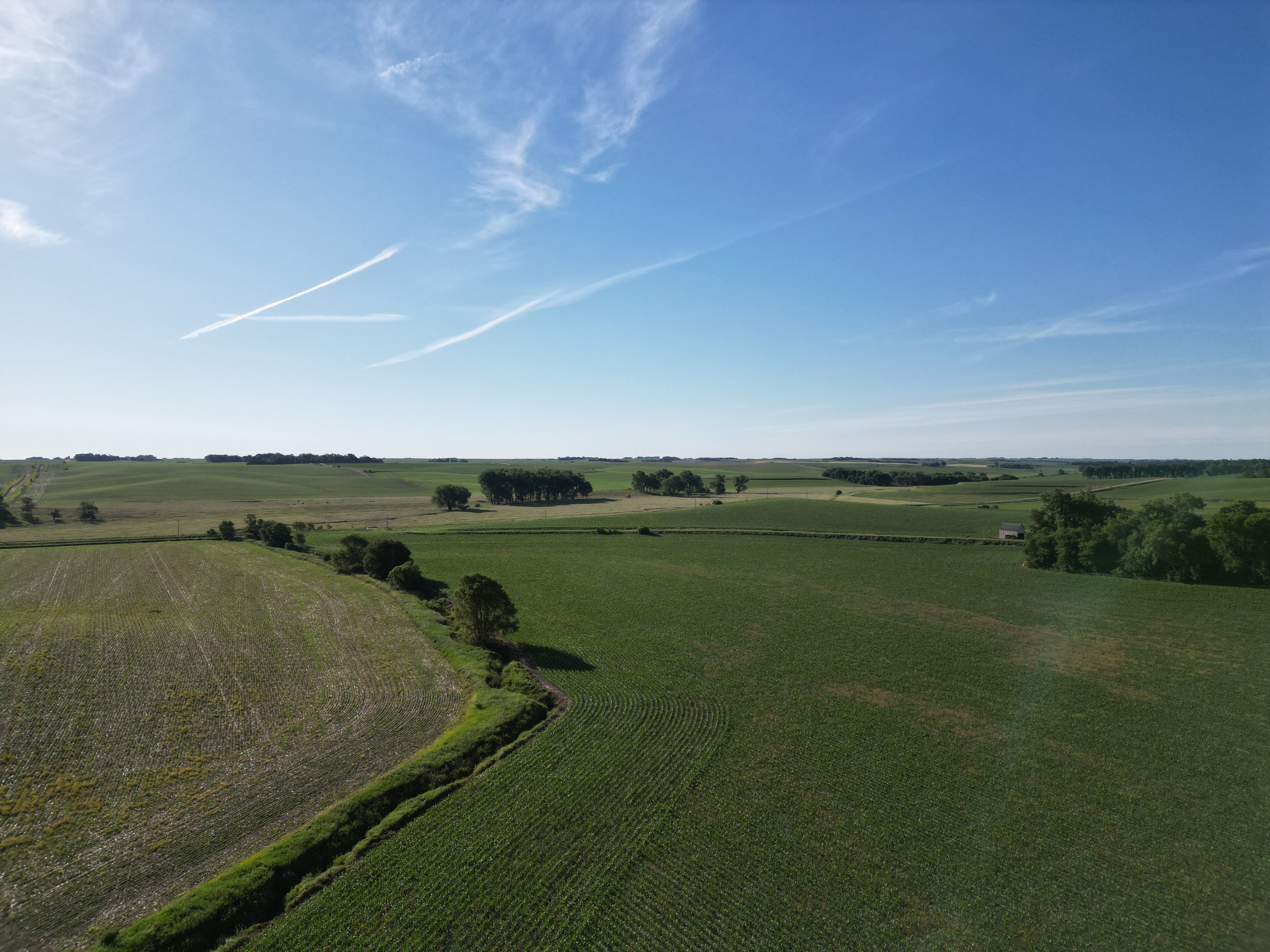 DJI_0308.JPG