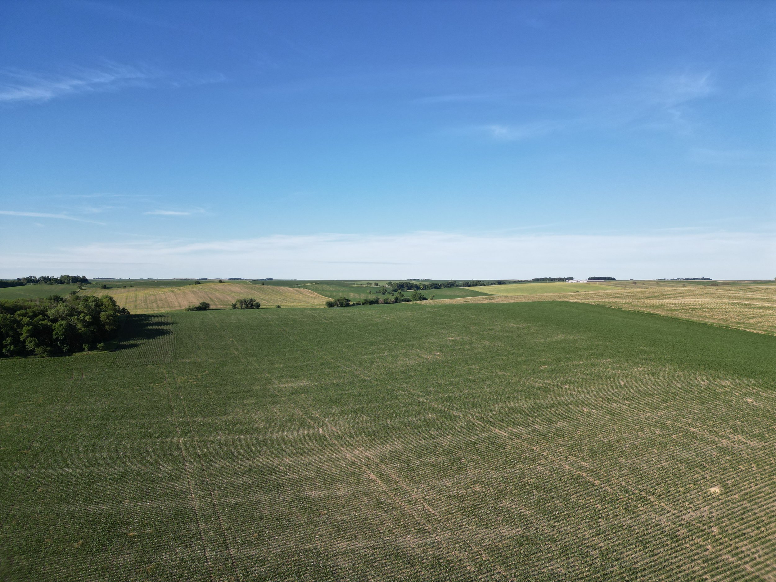 DJI_0309.JPG