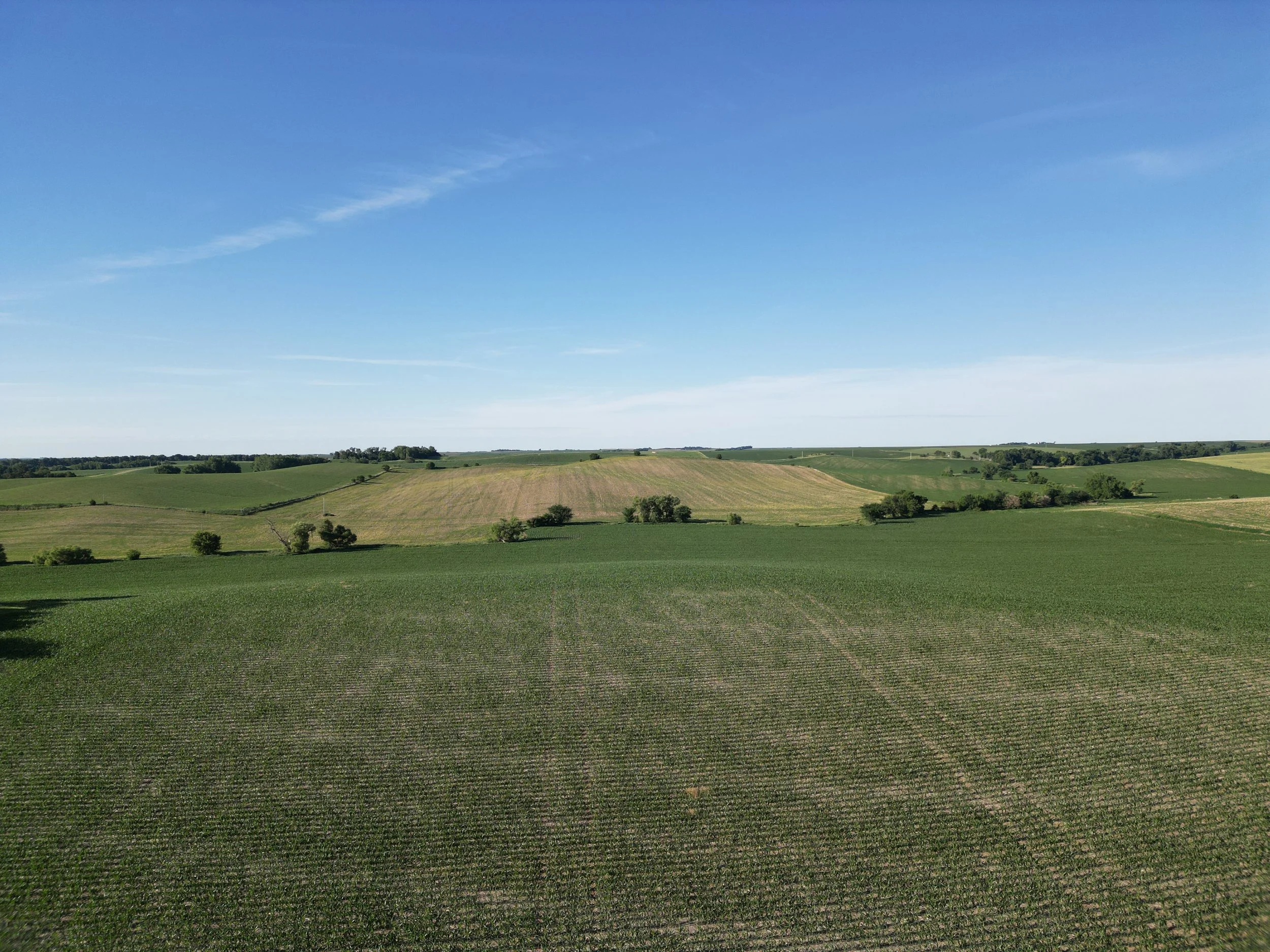 DJI_0310.JPG
