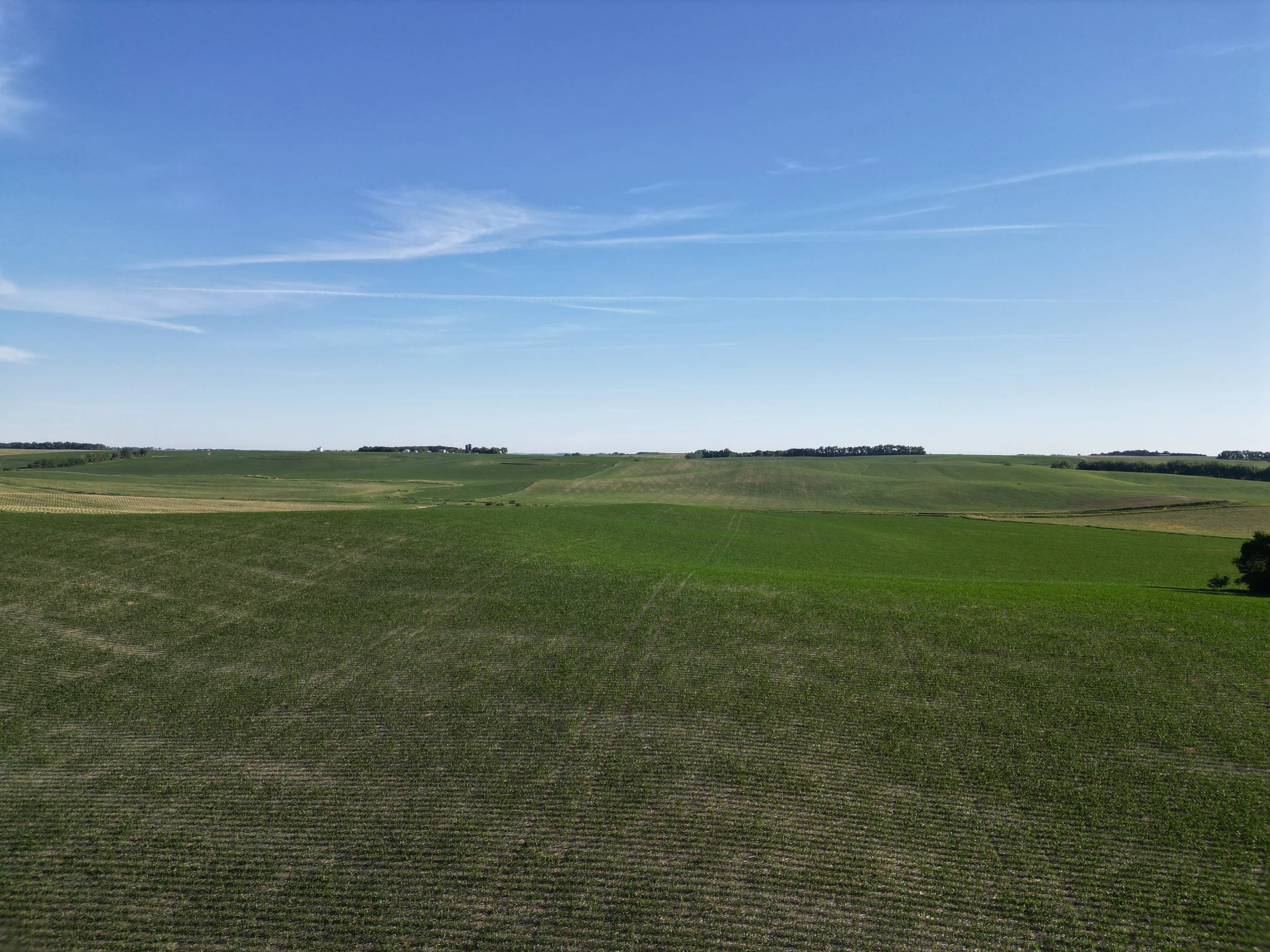 DJI_0311.JPG