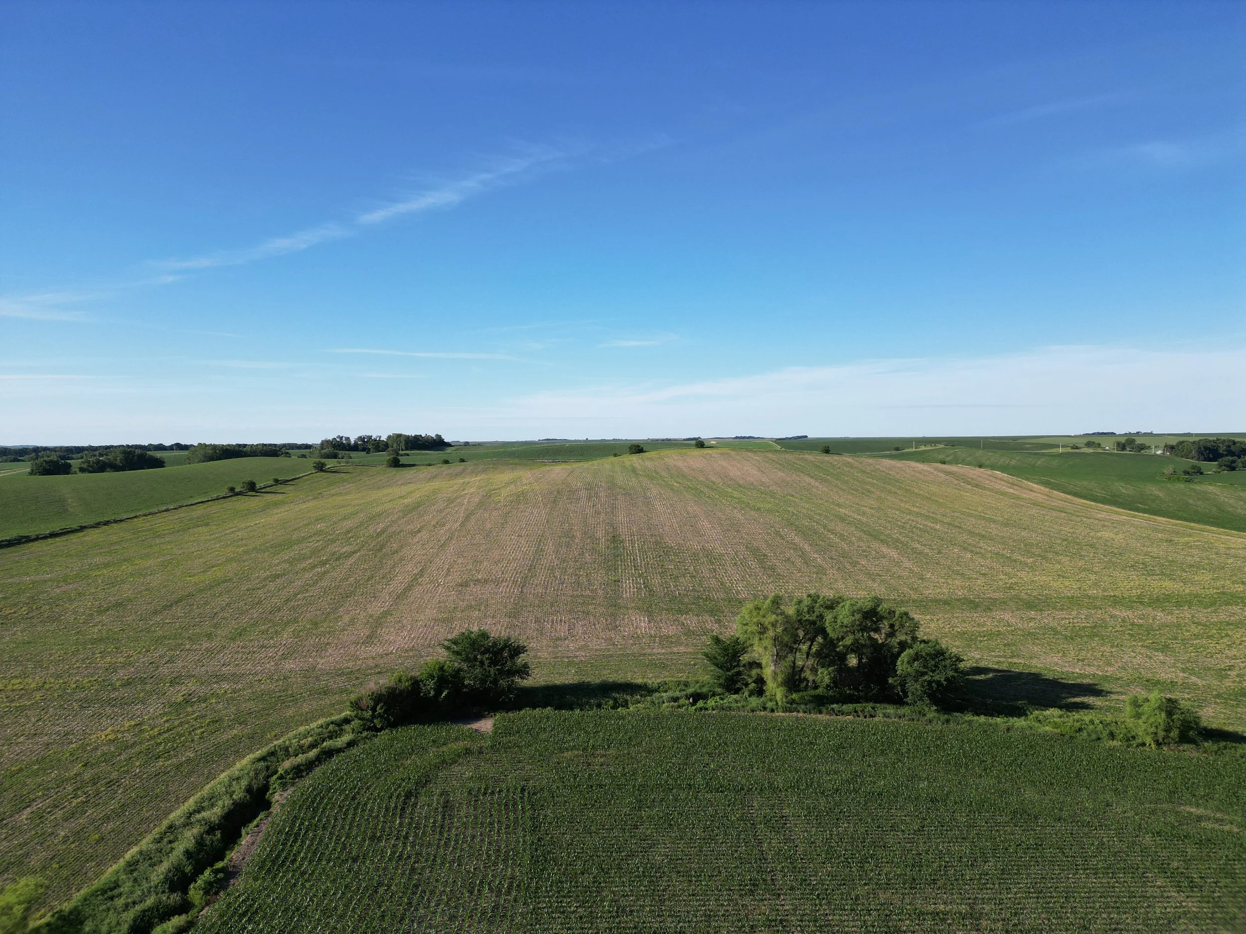 DJI_0312.JPG