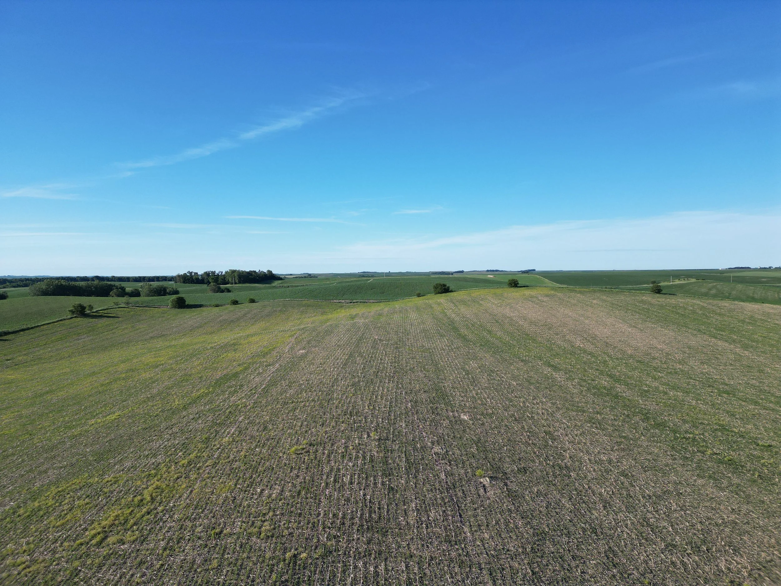 DJI_0313.JPG