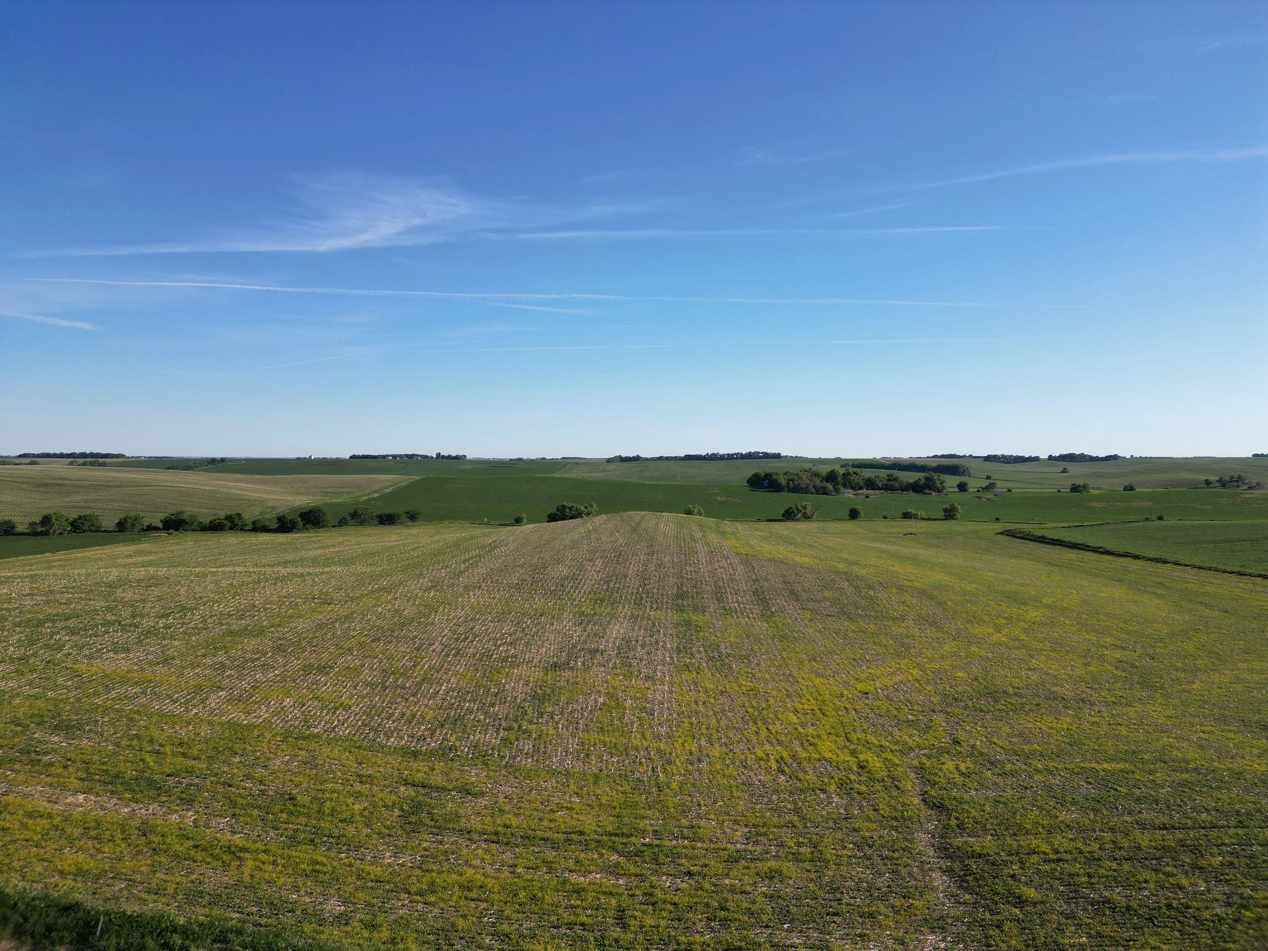 DJI_0314.JPG