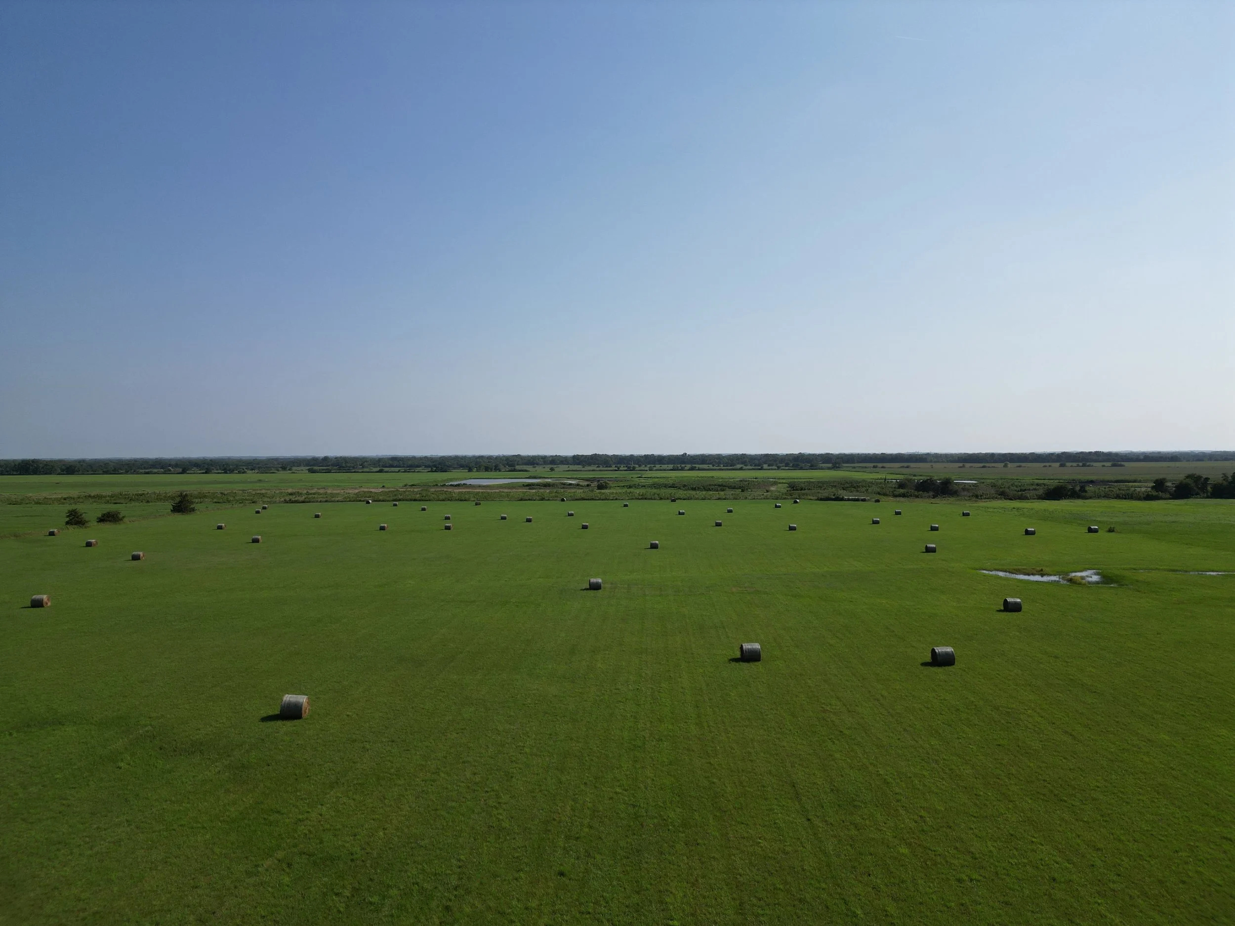 DJI_0330.JPG