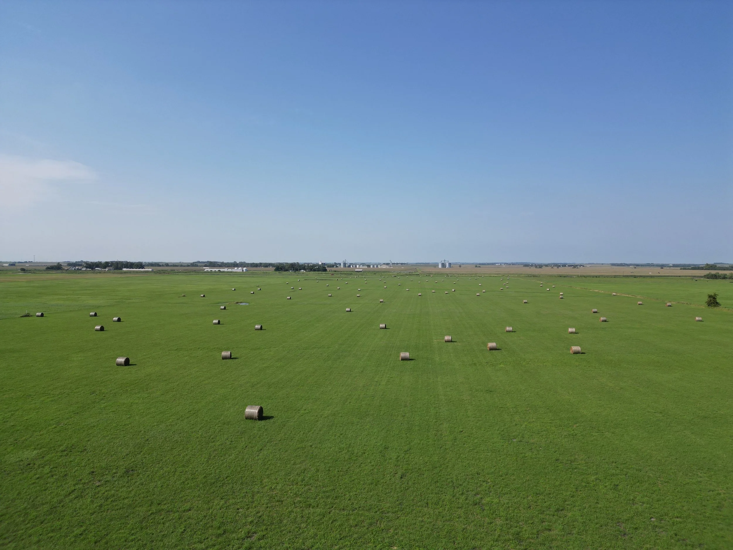 Auction - 53.33 +/- Acre Colfax County Hay Meadow