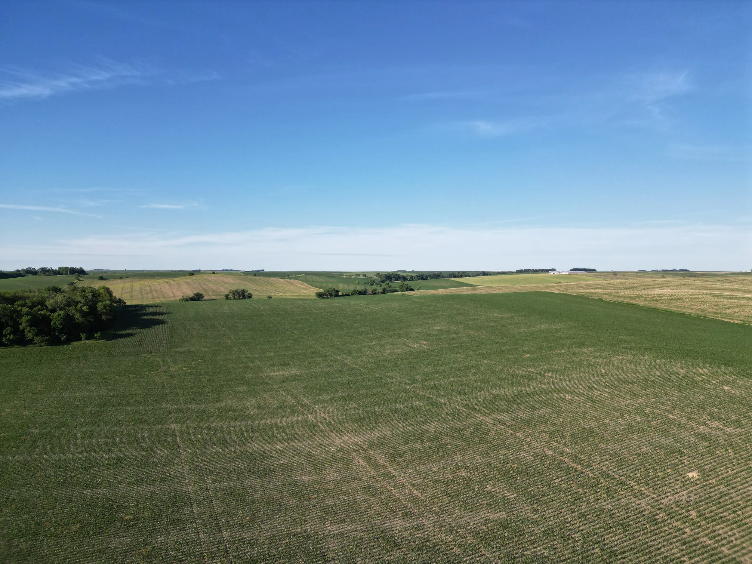 Auction - 200 +/- Acre Stanton County Farm