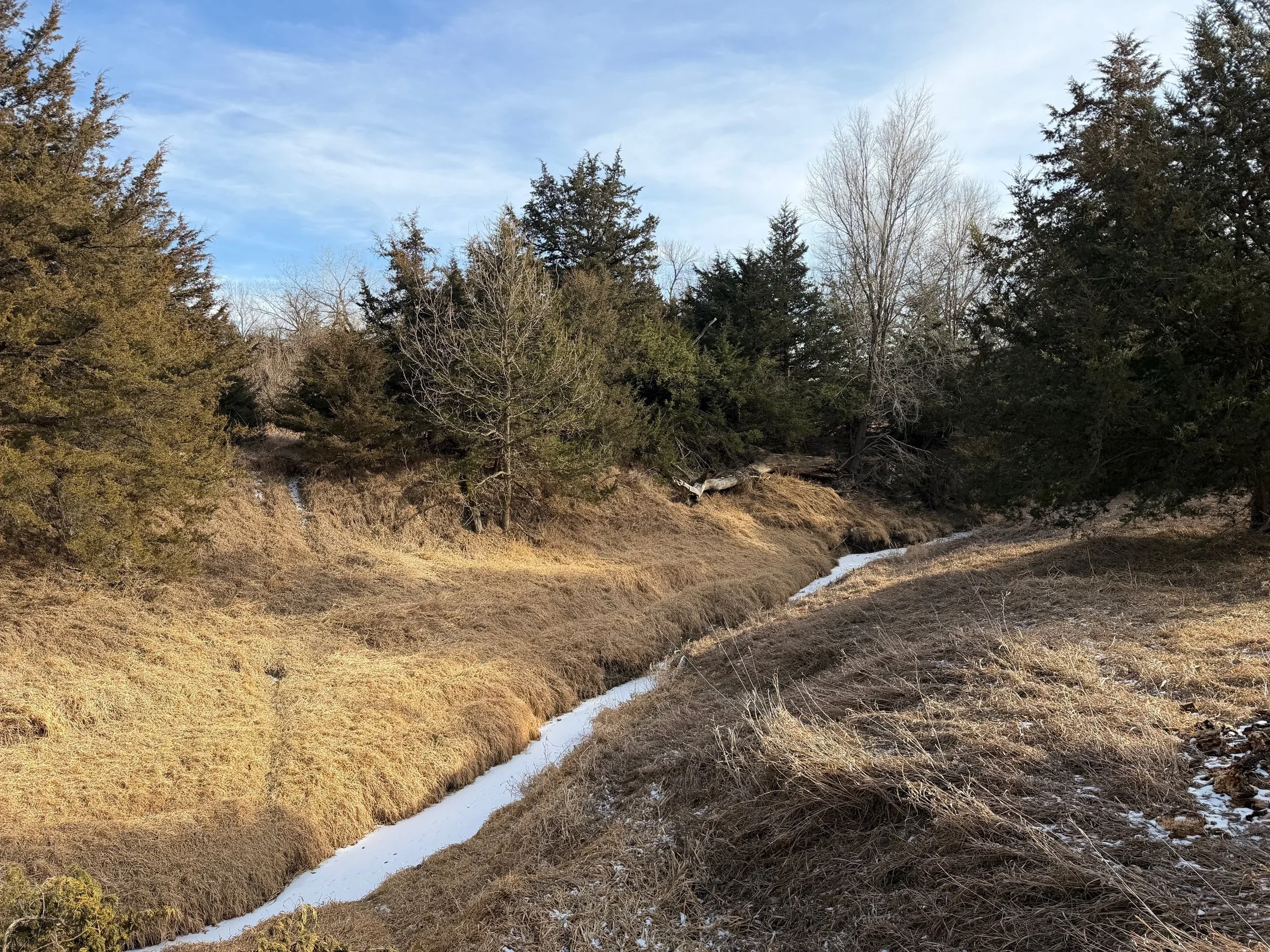 Upland Recreation Land, Palmer