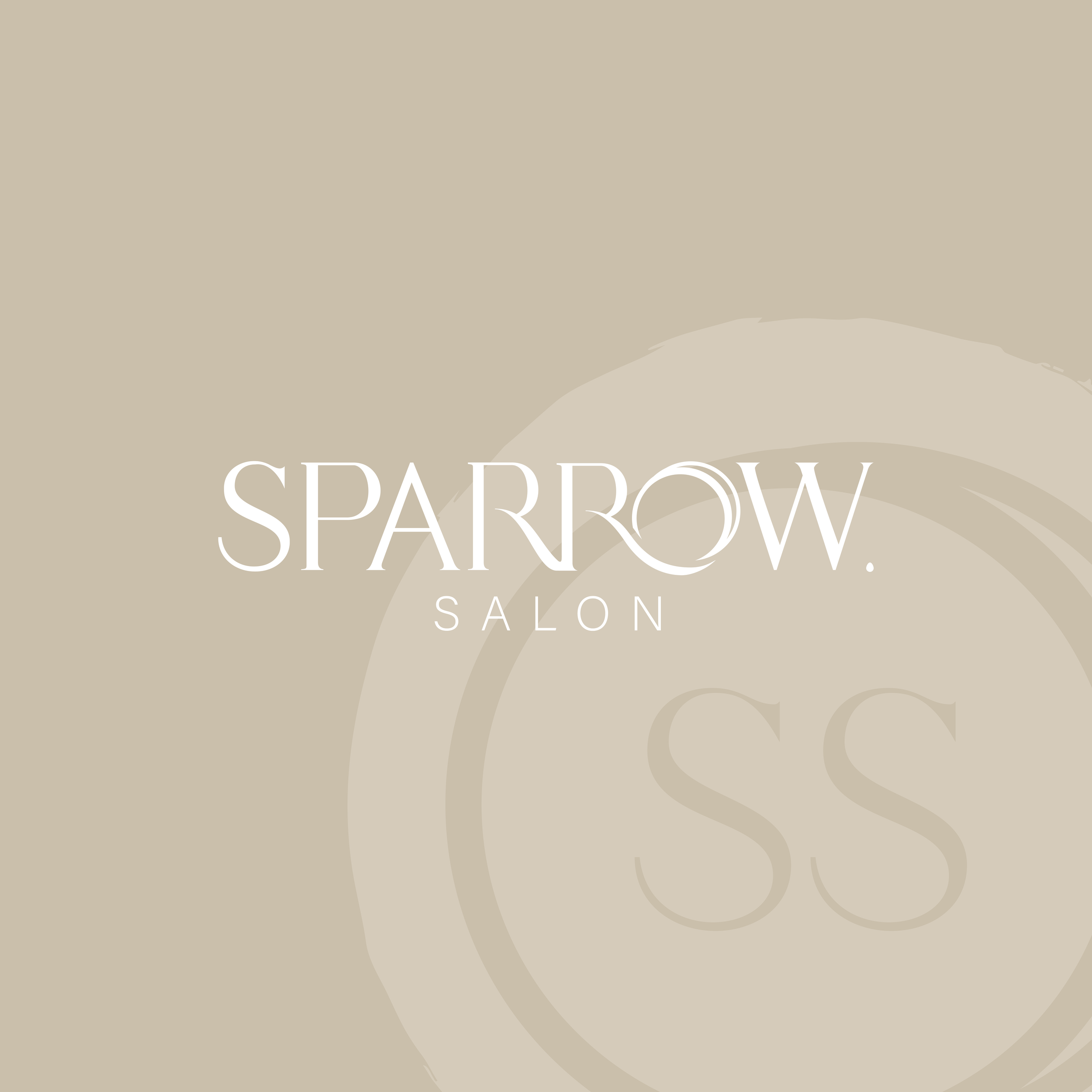 Sparrow Salon - BACKGROUND-45.png