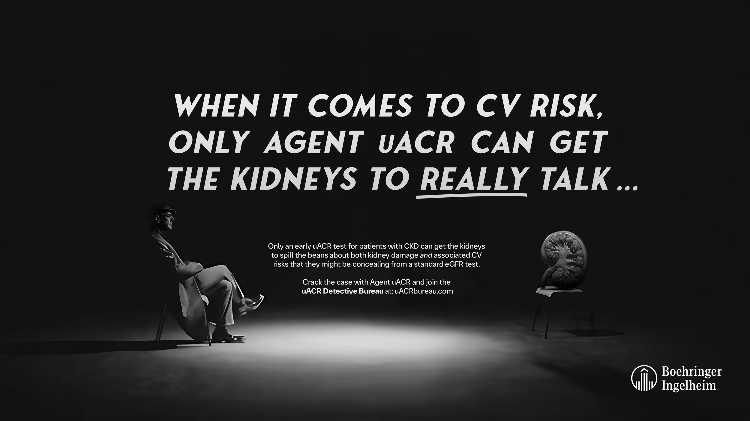 Kidney_interrogation_across the room_2a.png