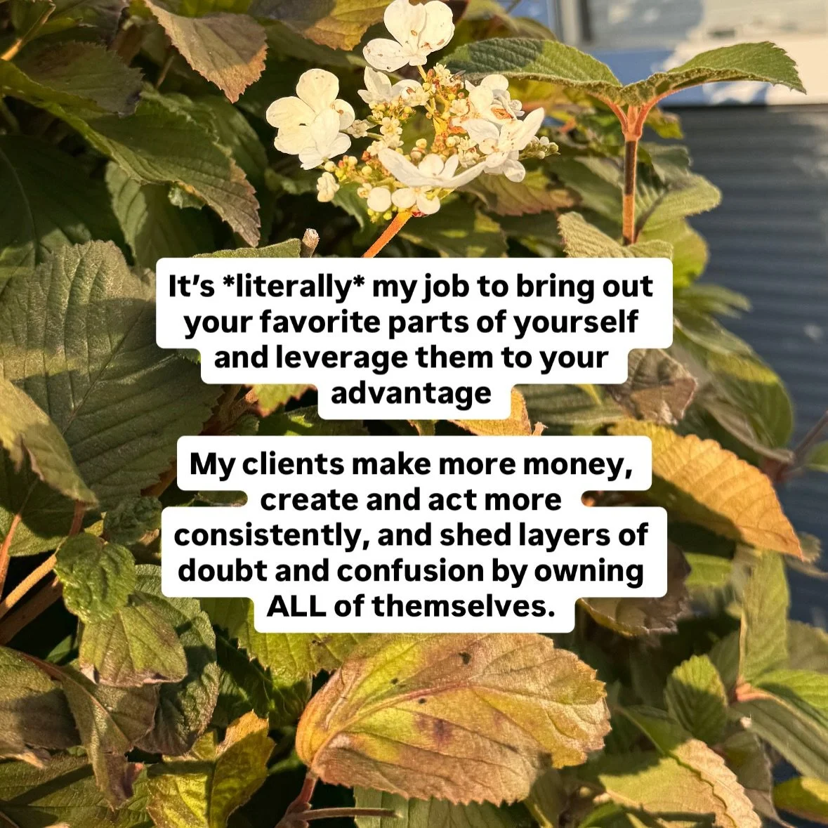 One of my fav ever clients said this in her closing feedback: 

&ldquo;I was amazed how much change was possible just by embracing my actual self instead of trying so hard to create change.

I think this work is for biz owners &amp; creatives who are