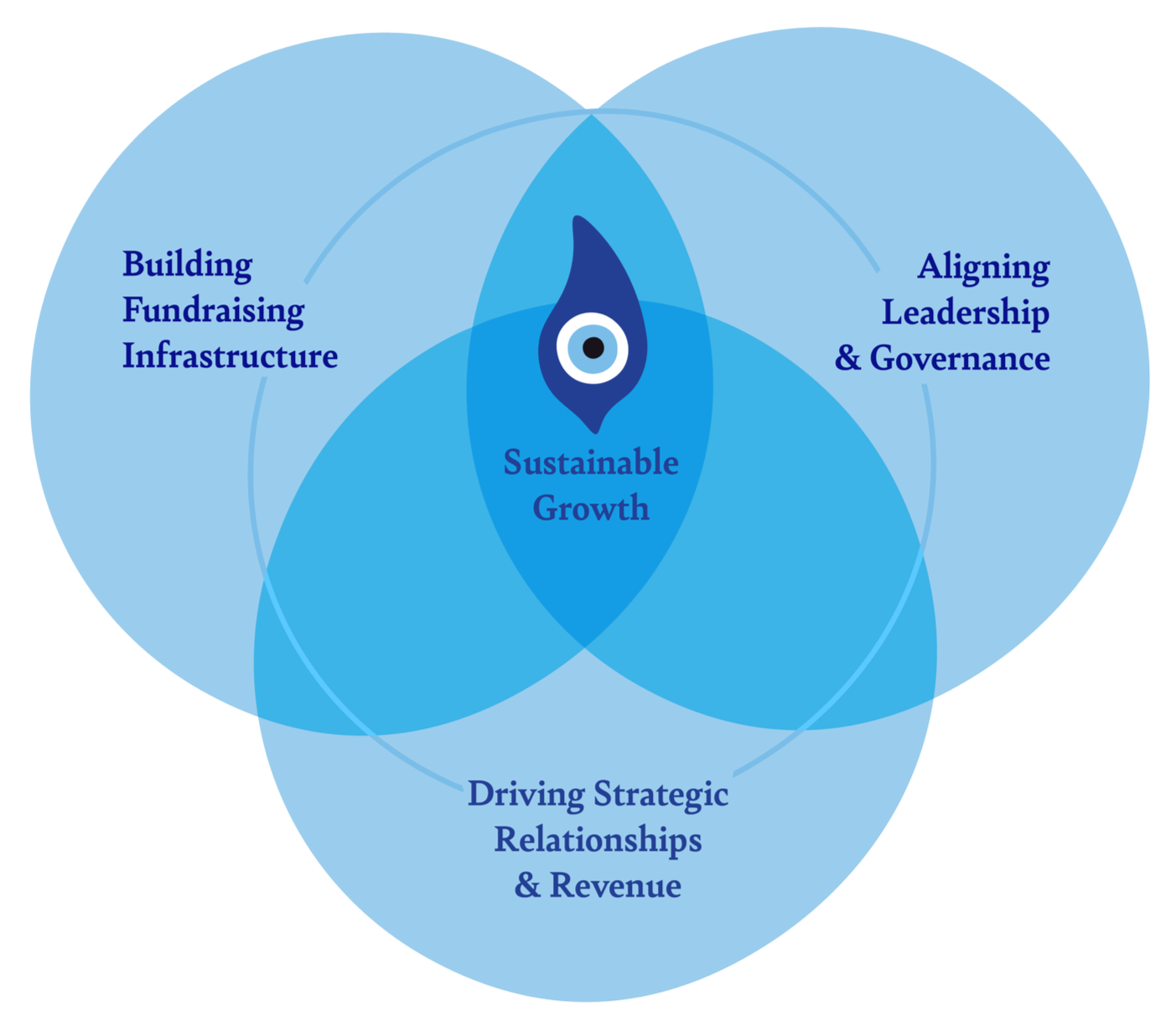 A Venn diagram showing overlapping circles labeled: 'Building Fundraising Infrastructure,' 'Aligning Leadership & Governance,' and 'Driving Strategic Relationships & Revenue.' The intersection of all three circles highlights the goal 'Sustainable Growth.'