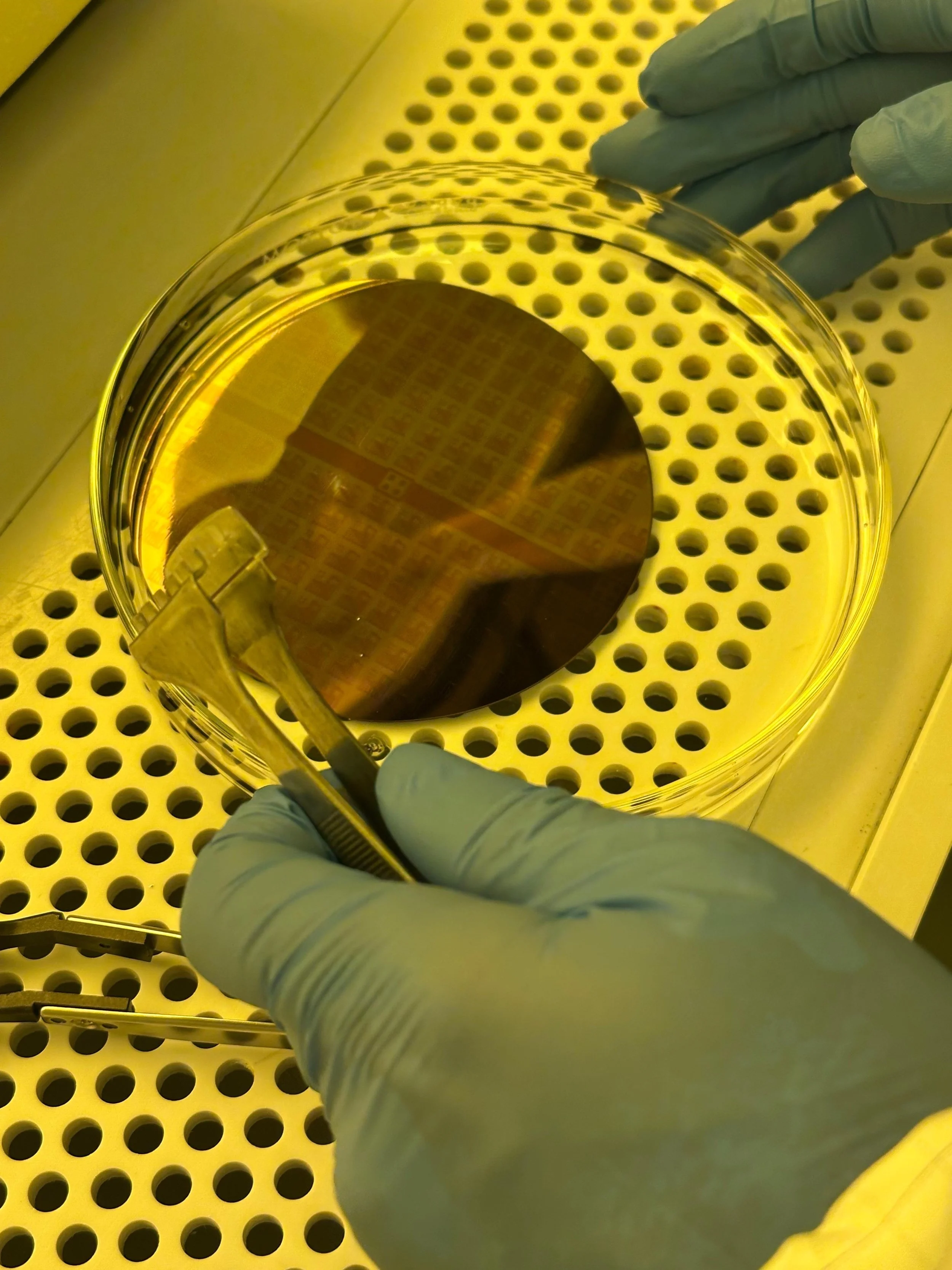 C-TASC Estudiantes Panamá