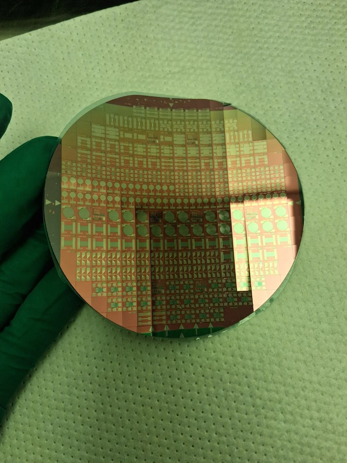 C-TASC Profesores Panamá