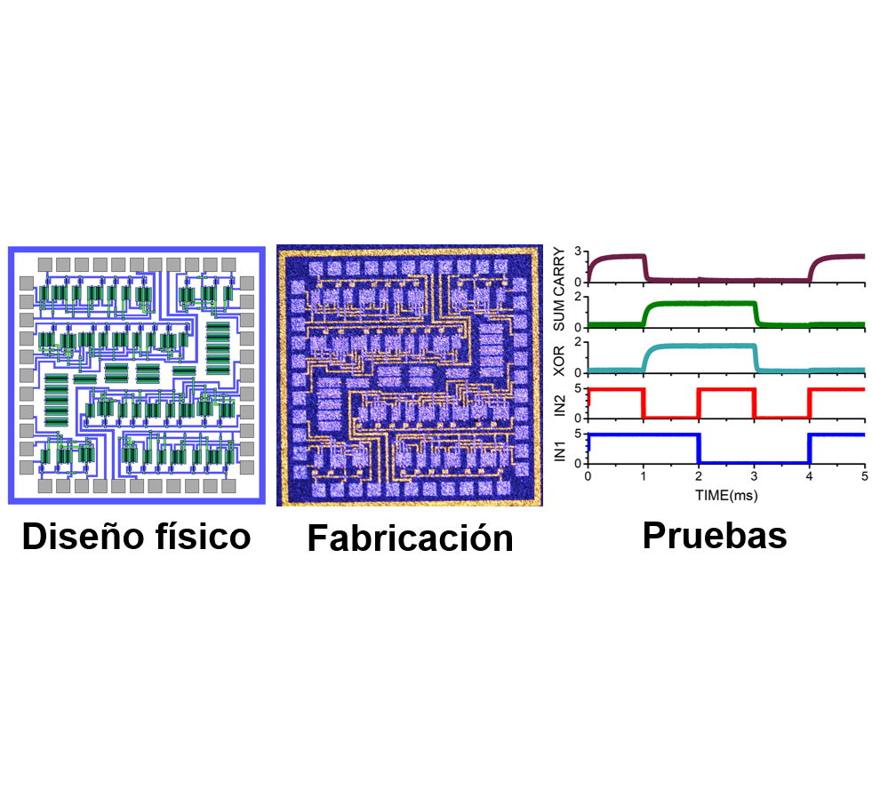 Picture2 - copia.png