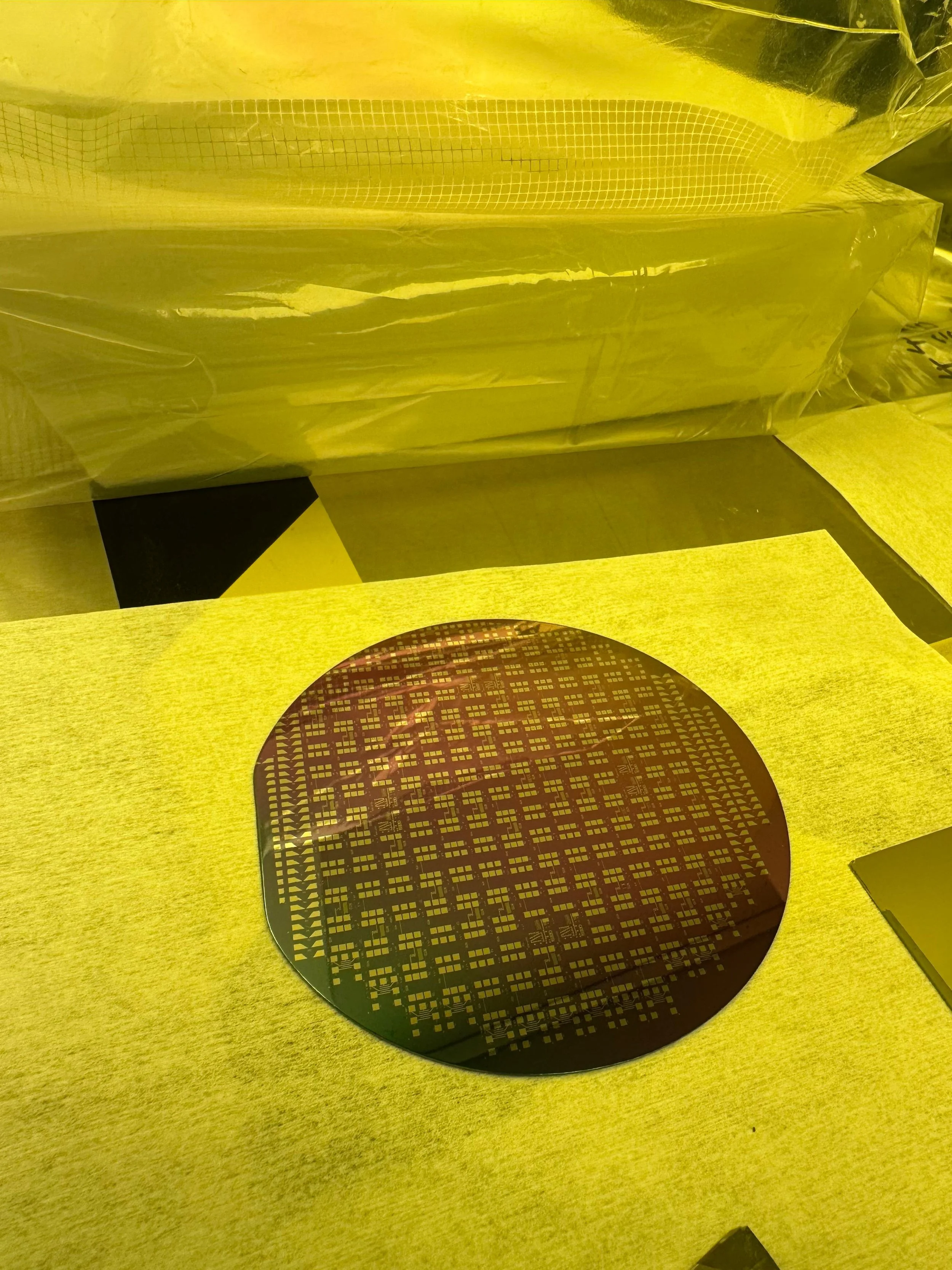 WhatsApp Image 2026-03-04 at 1.14.39 PM.jpeg