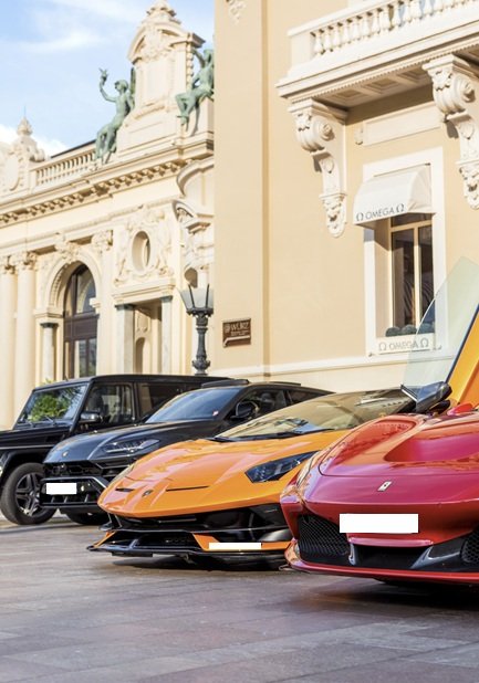 Cars Search