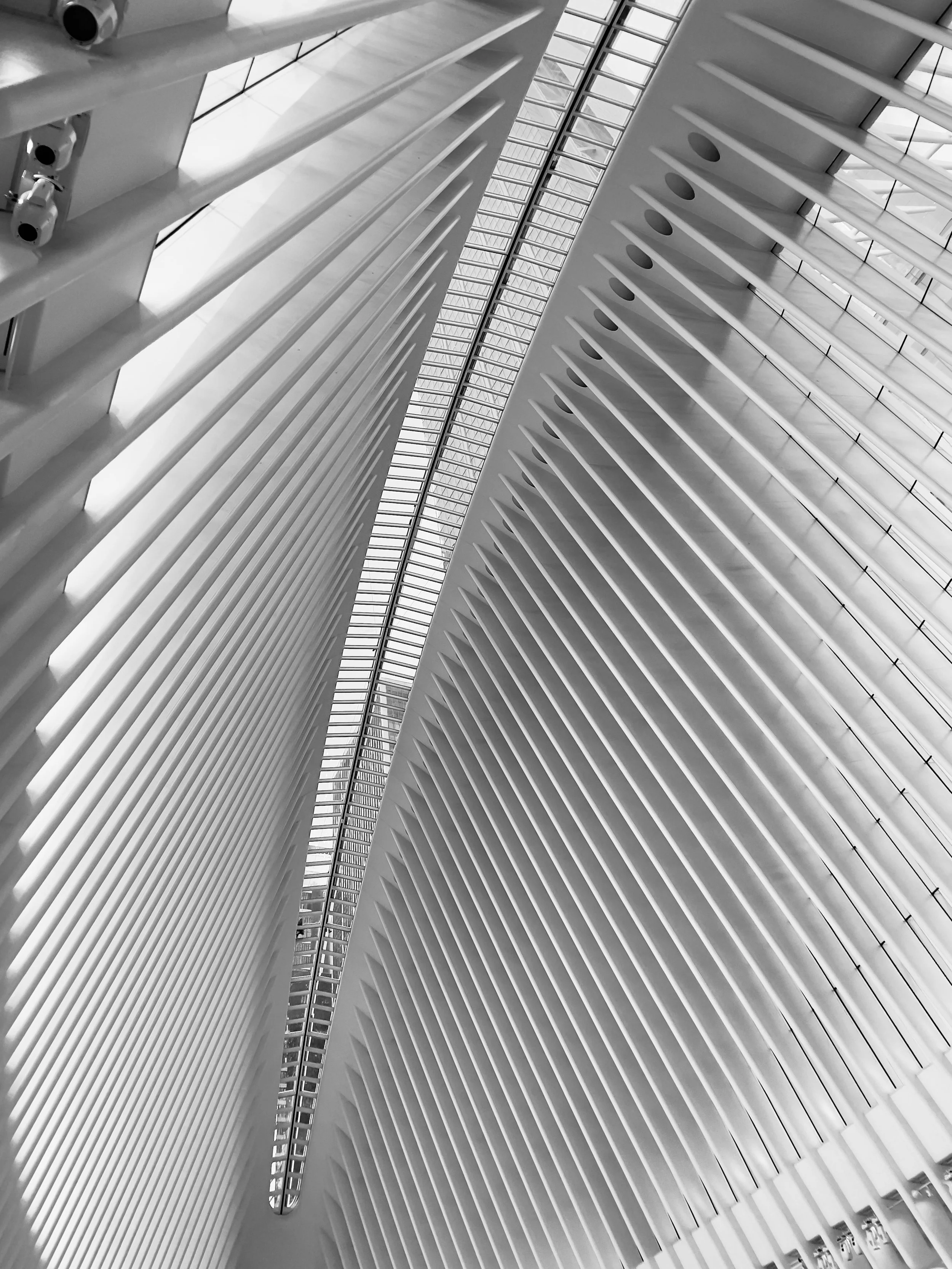 Interior view of a modern architectural building with tall, white, curved structural ribs and glass ceiling panels.