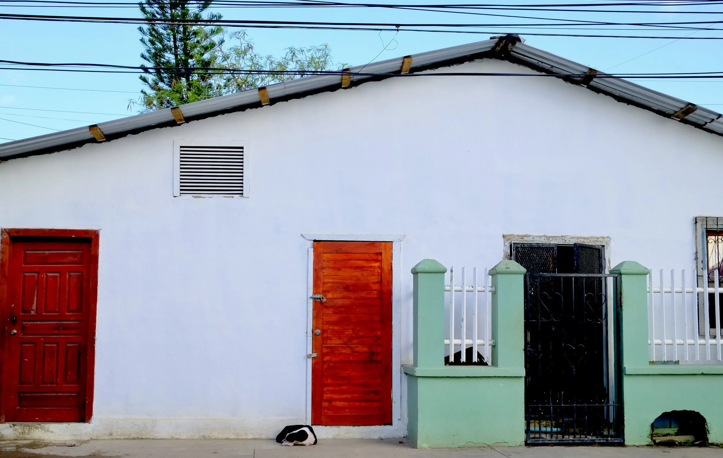 A simple white house with a red door and a red shutter, a black gate, green accents, and a dog lying on the ground outside.
