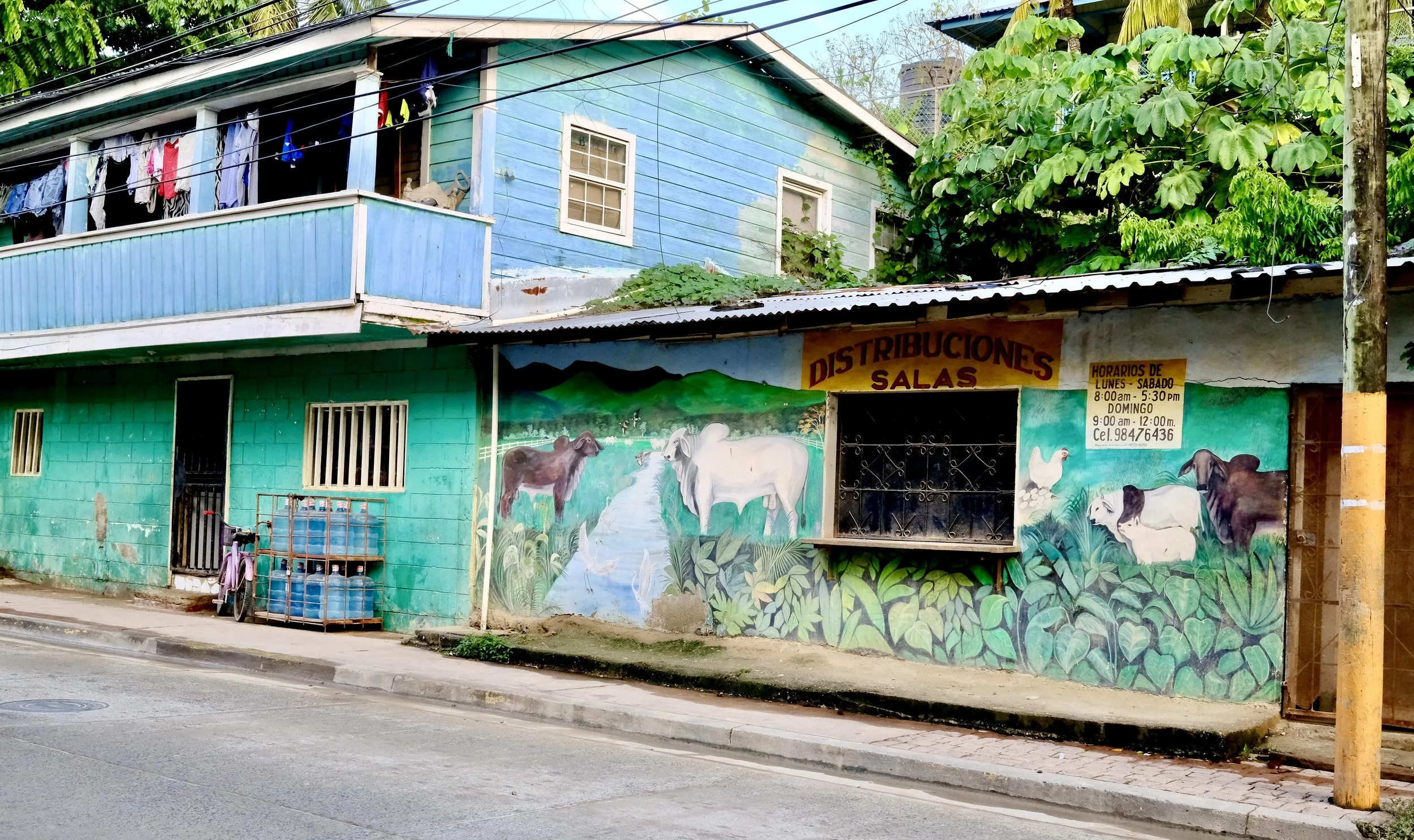 Street view of a building with a mural of farm animals and greenery on the lower wall, small water bottles outside, and laundry hanging on a balcony above.