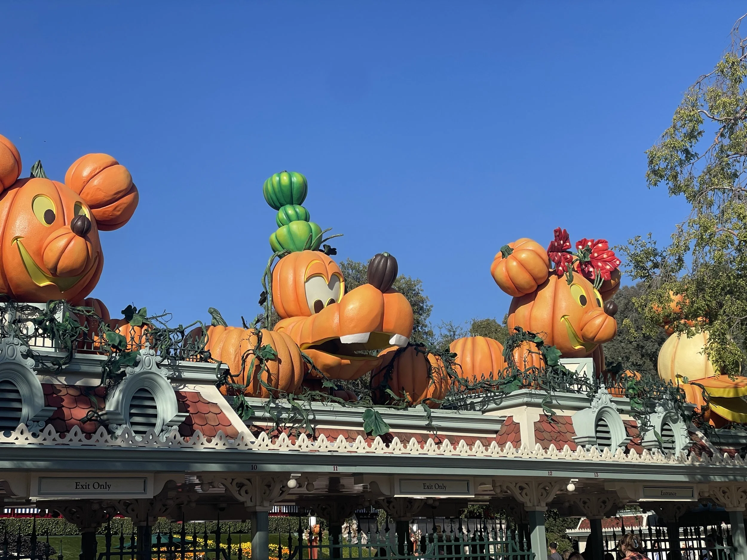 Large animated pumpkin and character displays with a Mickey Mouse theme, decorated with pumpkins and foliage, against a clear blue sky.