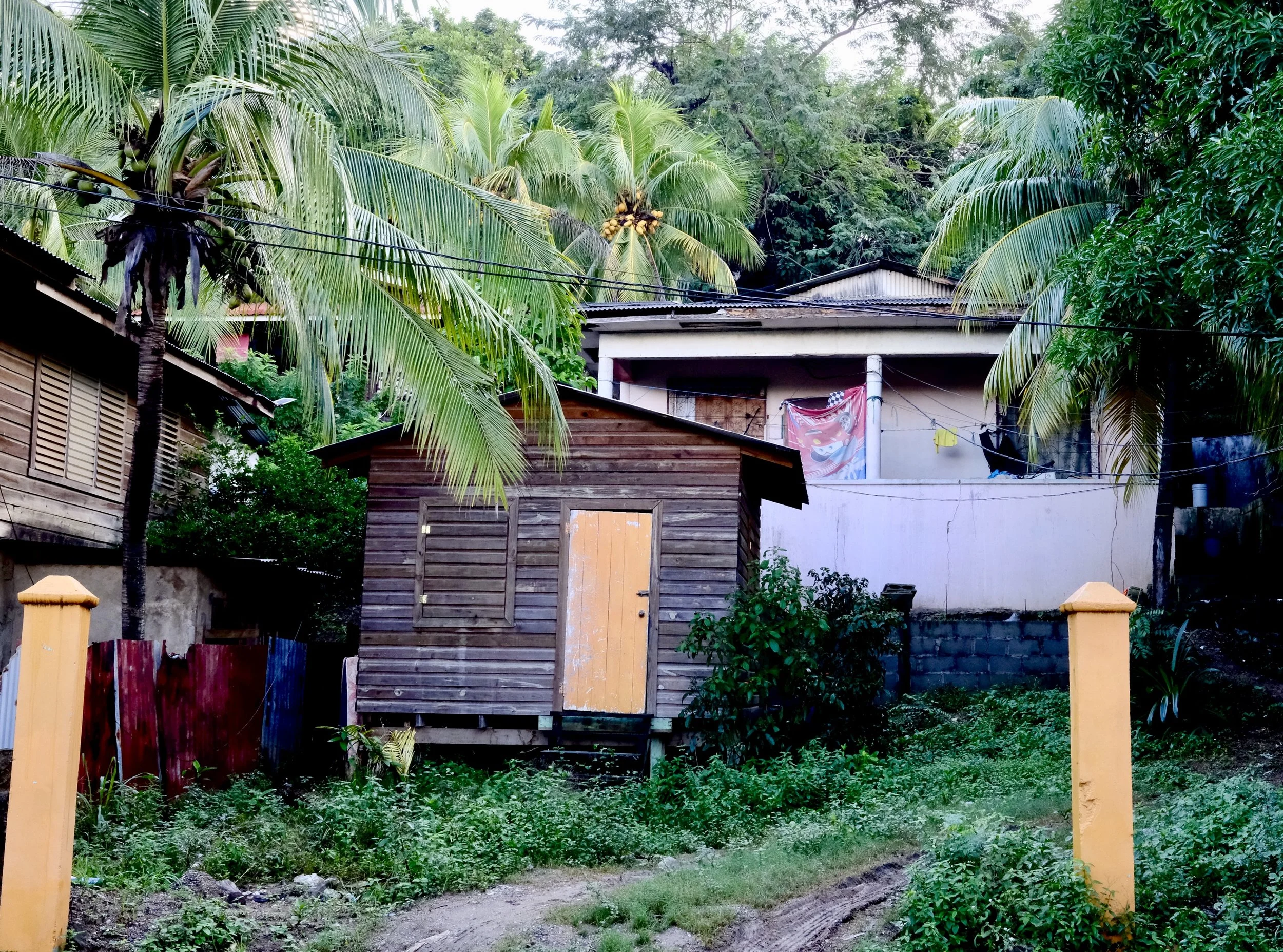 A small wooden shed with a yellow door, surrounded by lush green vegetation and tall palm trees, with another building in the background, some laundry hanging outside.
