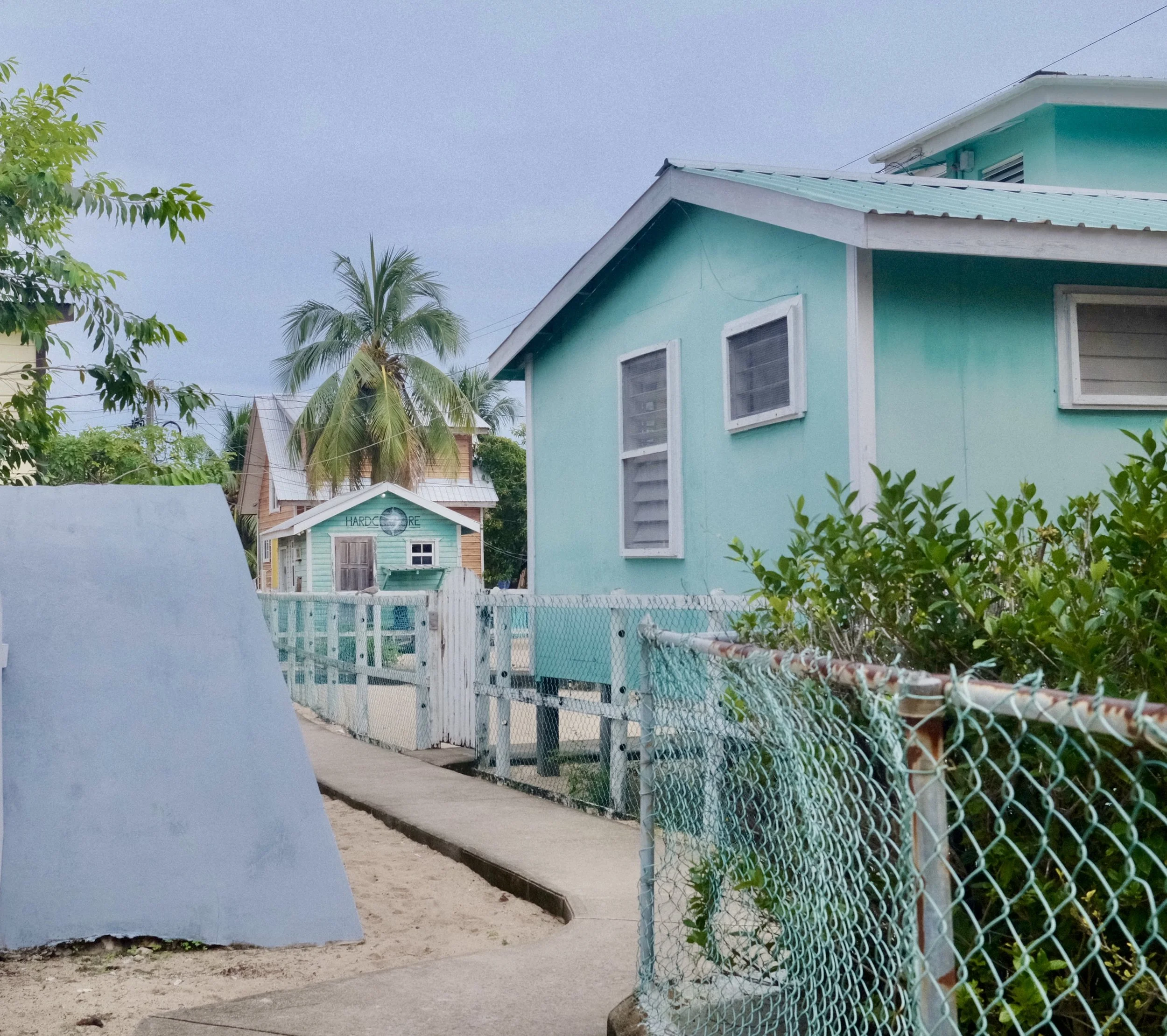 Colorful houses along a sidewalk with chain-link fences, tropical trees, and overcast sky.