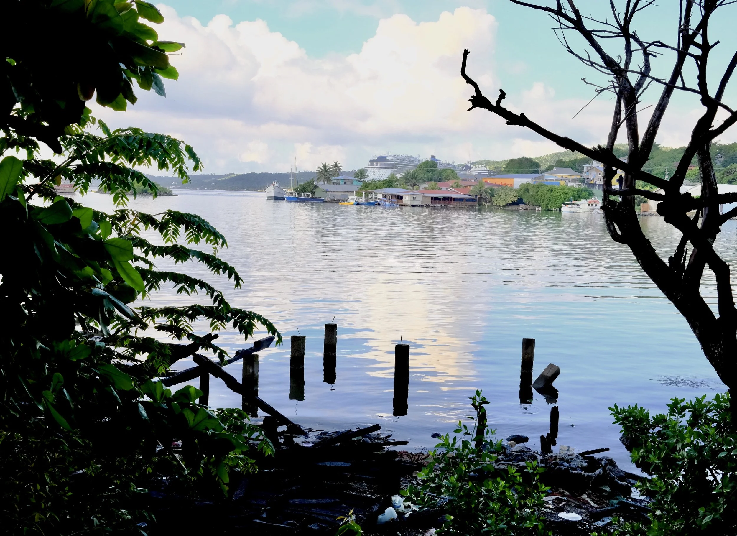 View of a calm river with houses and trees along the bank, seen from a shaded area with green foliage and a leafless tree in the foreground.