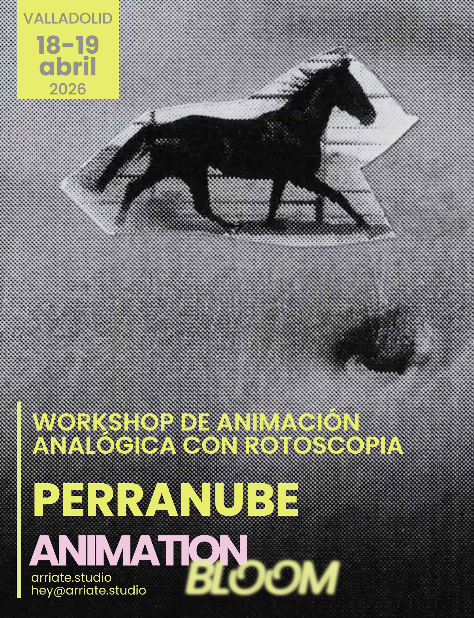 WORKSHOP | Animación analógica con Rotoscopia con Roco (Perranube)