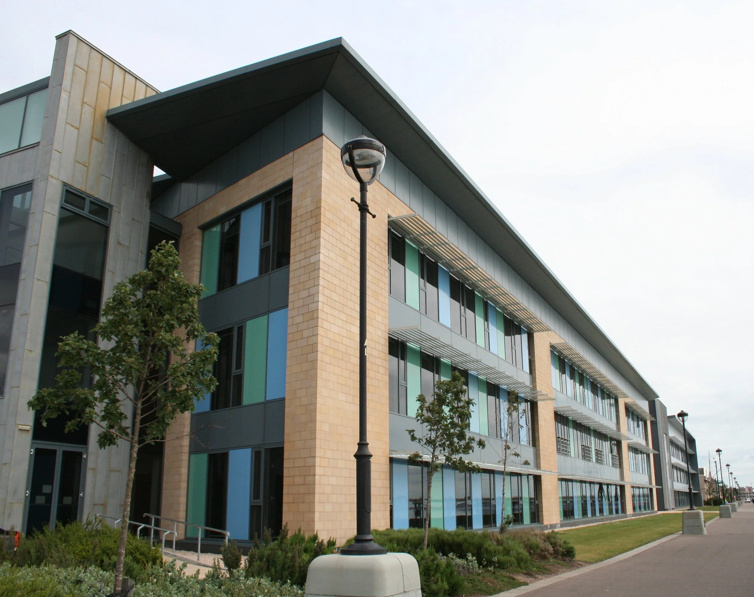 How Commercial Window Film Improves Workplace Productivity