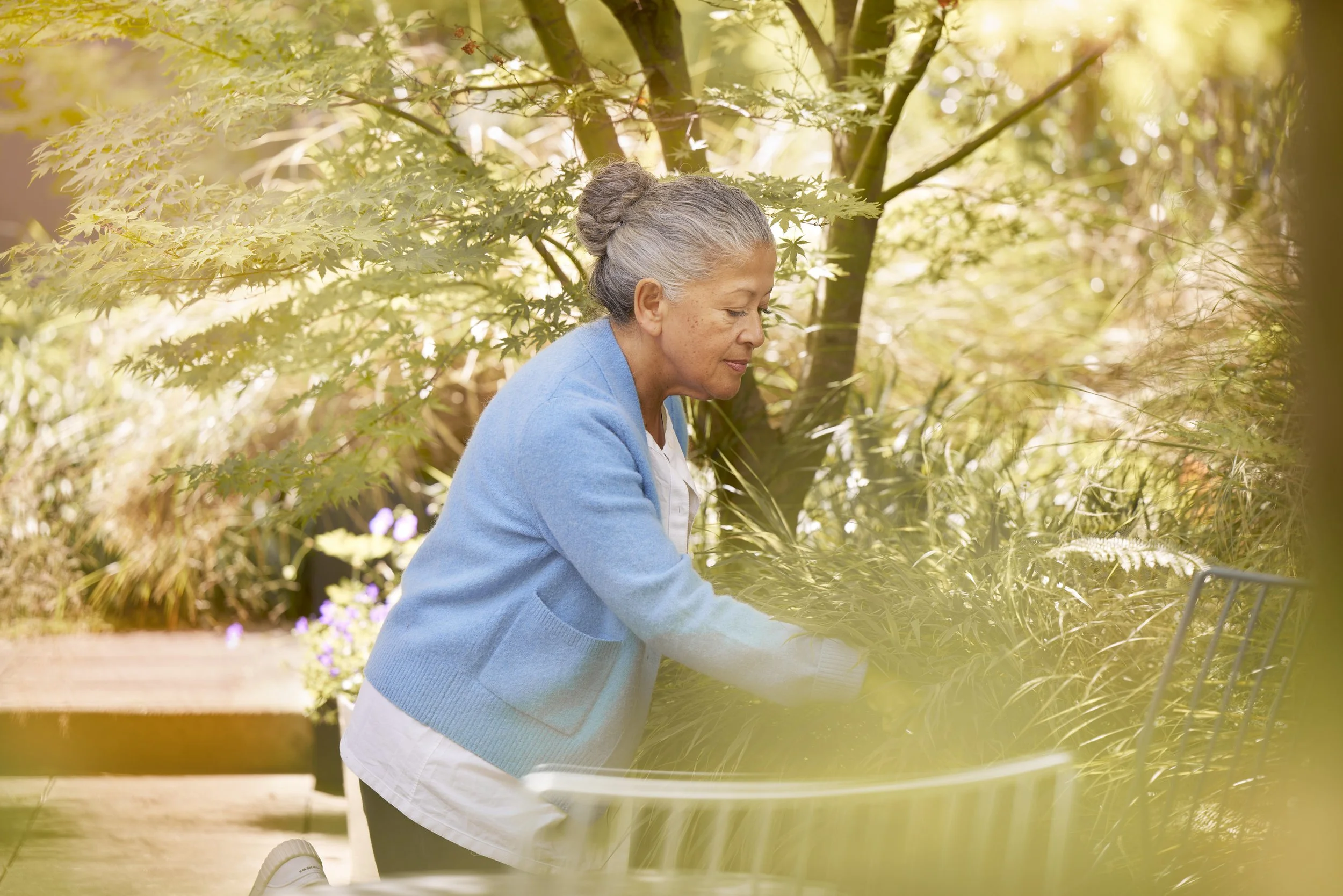 EF_2091 5v2Low res.jpg