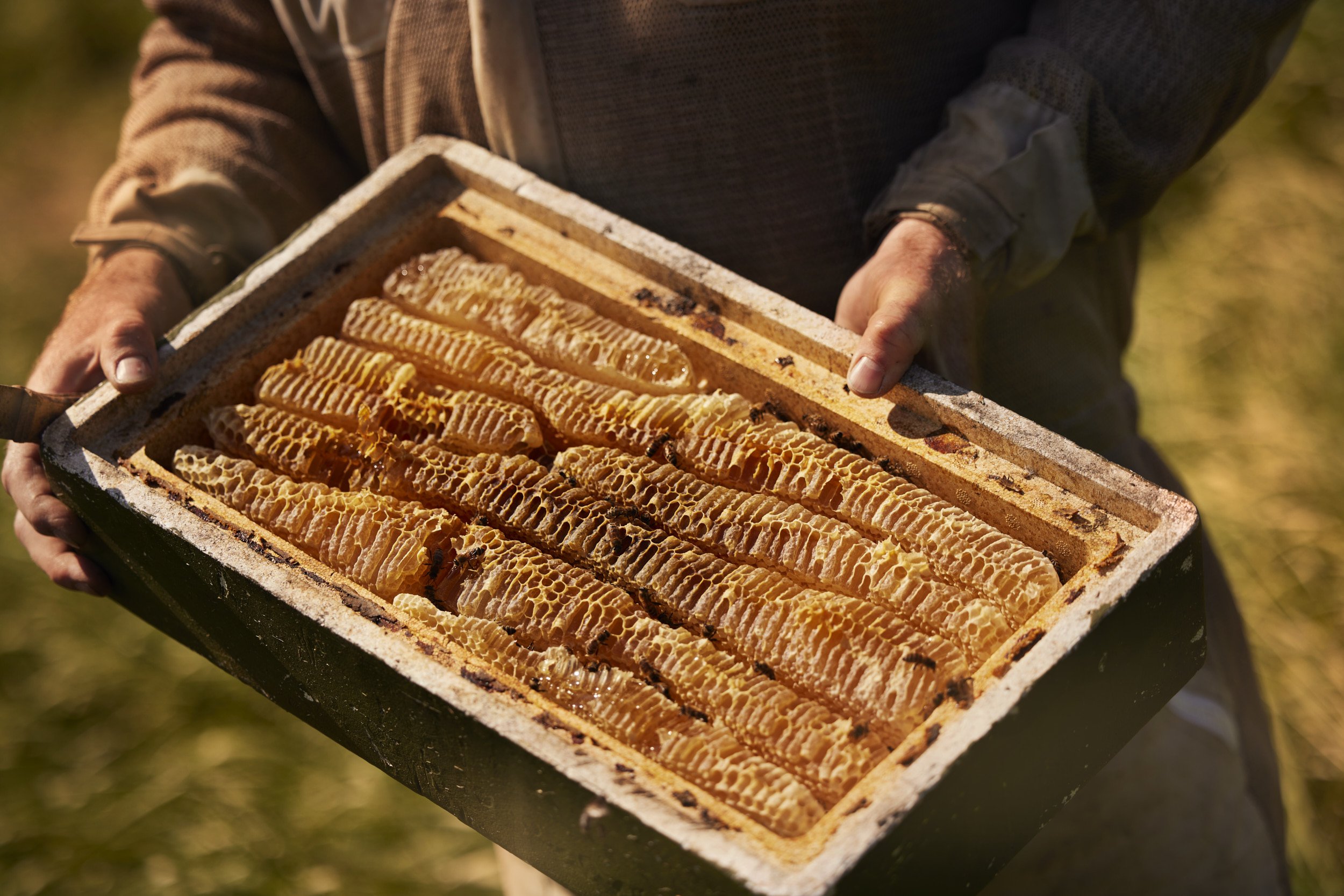 Foresight Cliveden House_0265.jpg