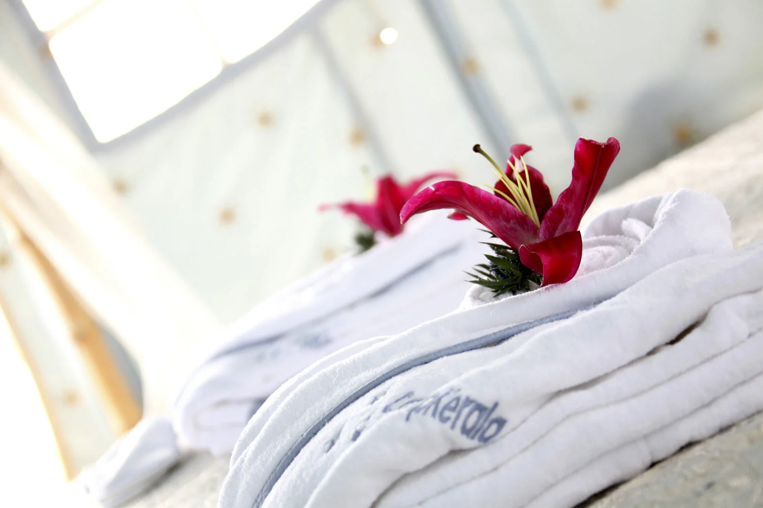 camp kerala (1) High Res.jpg