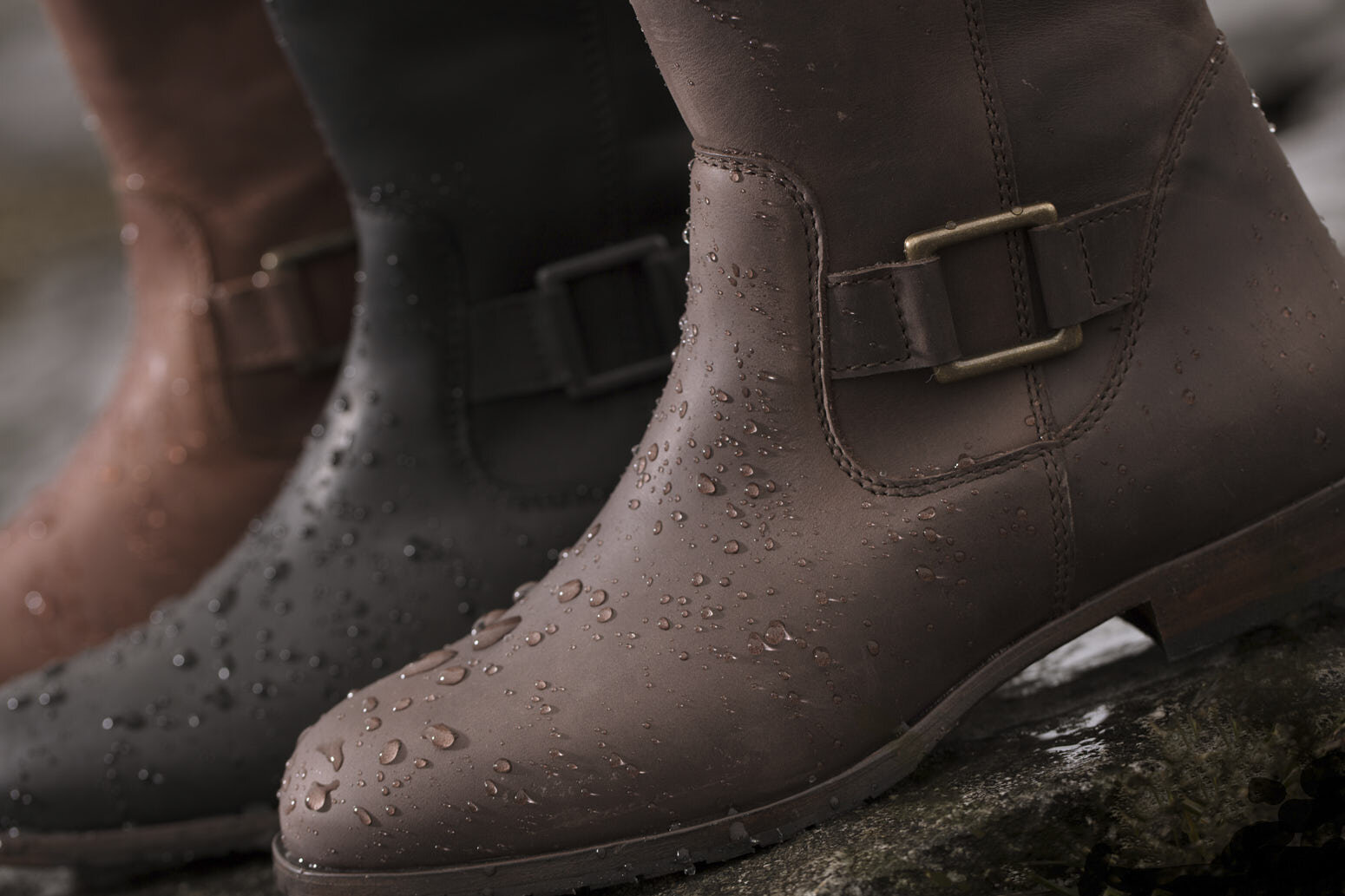 aaaaaaaaaaaaaaa more new-2 High Res.jpg