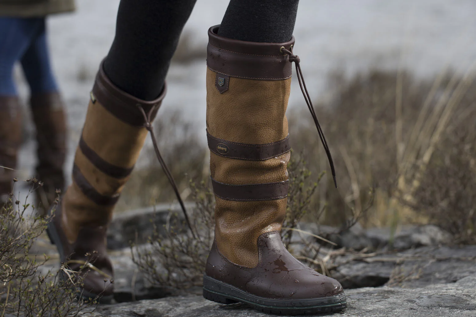 aaaaaaaaaaaaaaa more new-1 High Res.jpg