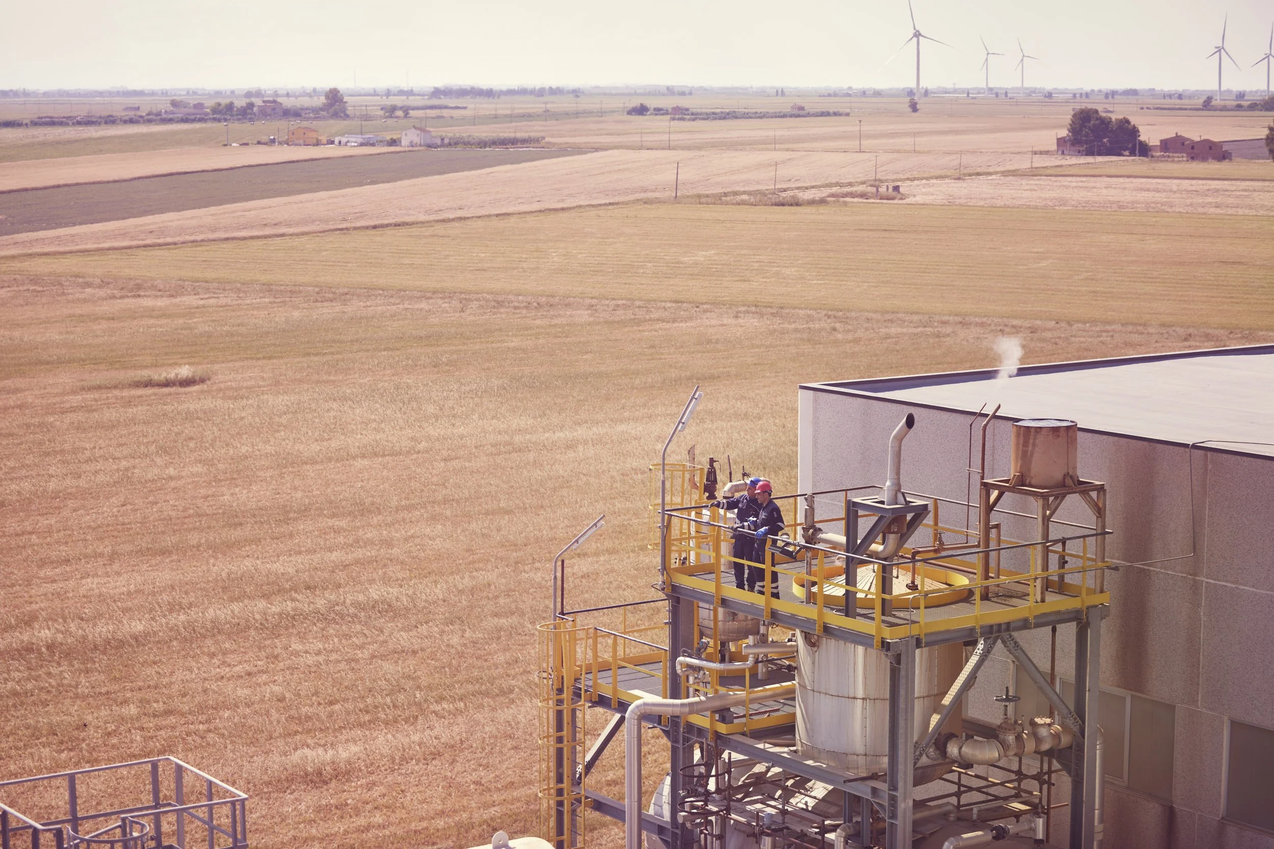 Foresight Italy_0220.jpg