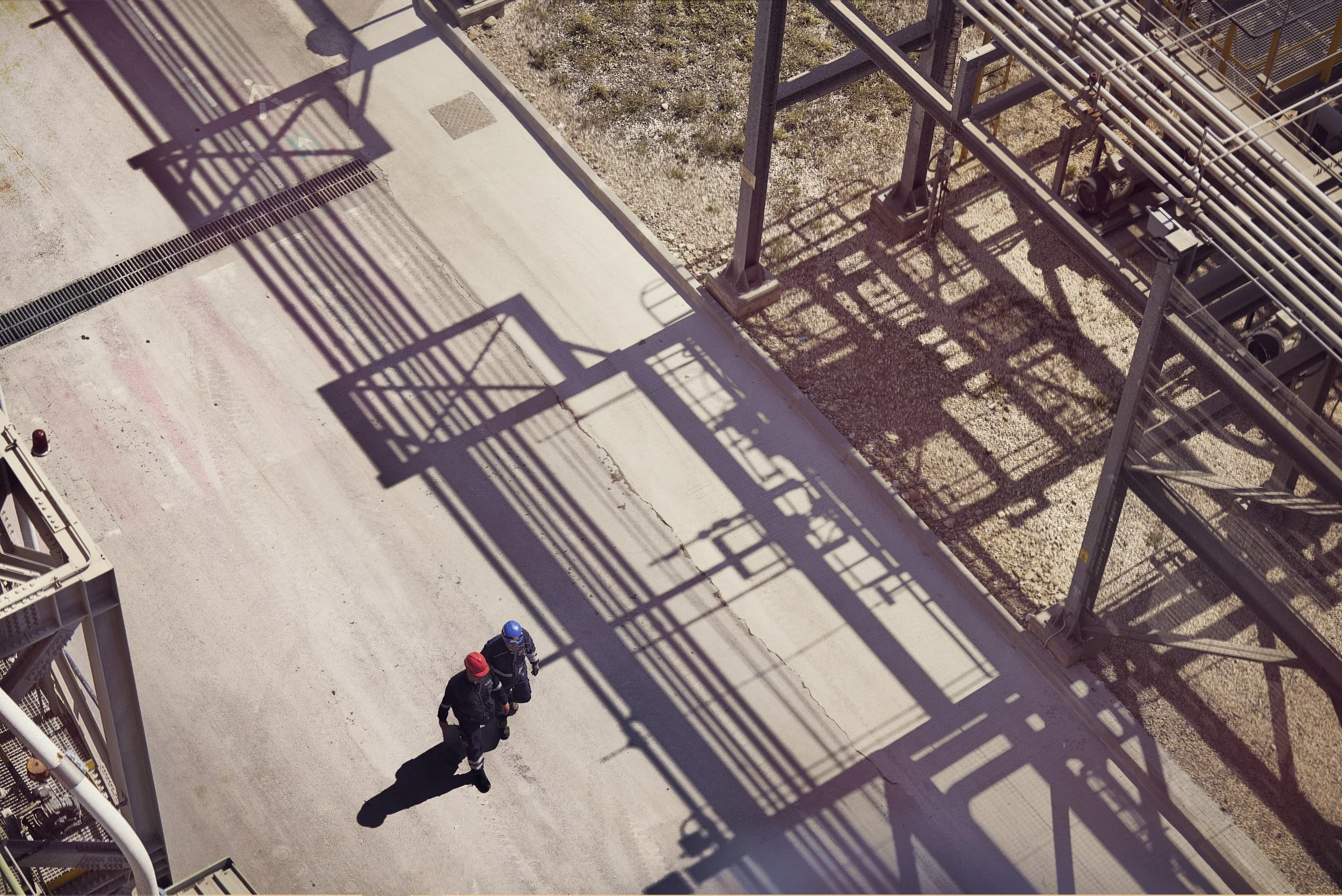 Foresight Italy_0015 1.jpg