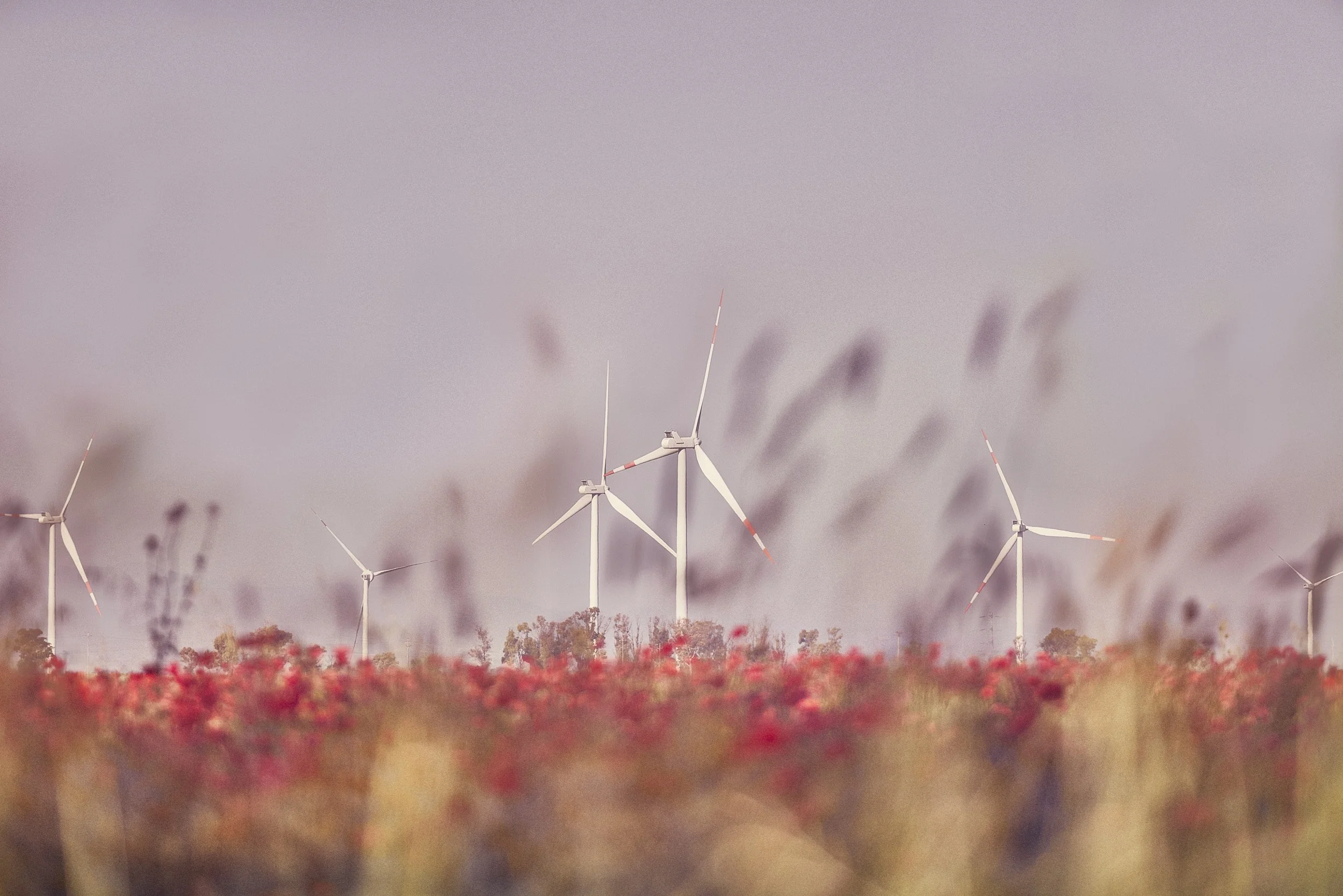 4J9A9264 1 V1 Layers.jpg