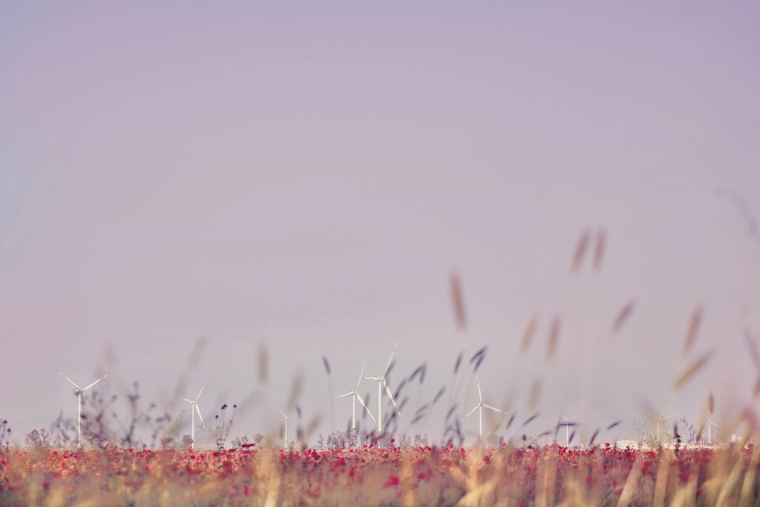 4J9A9263 v2 layer.jpg