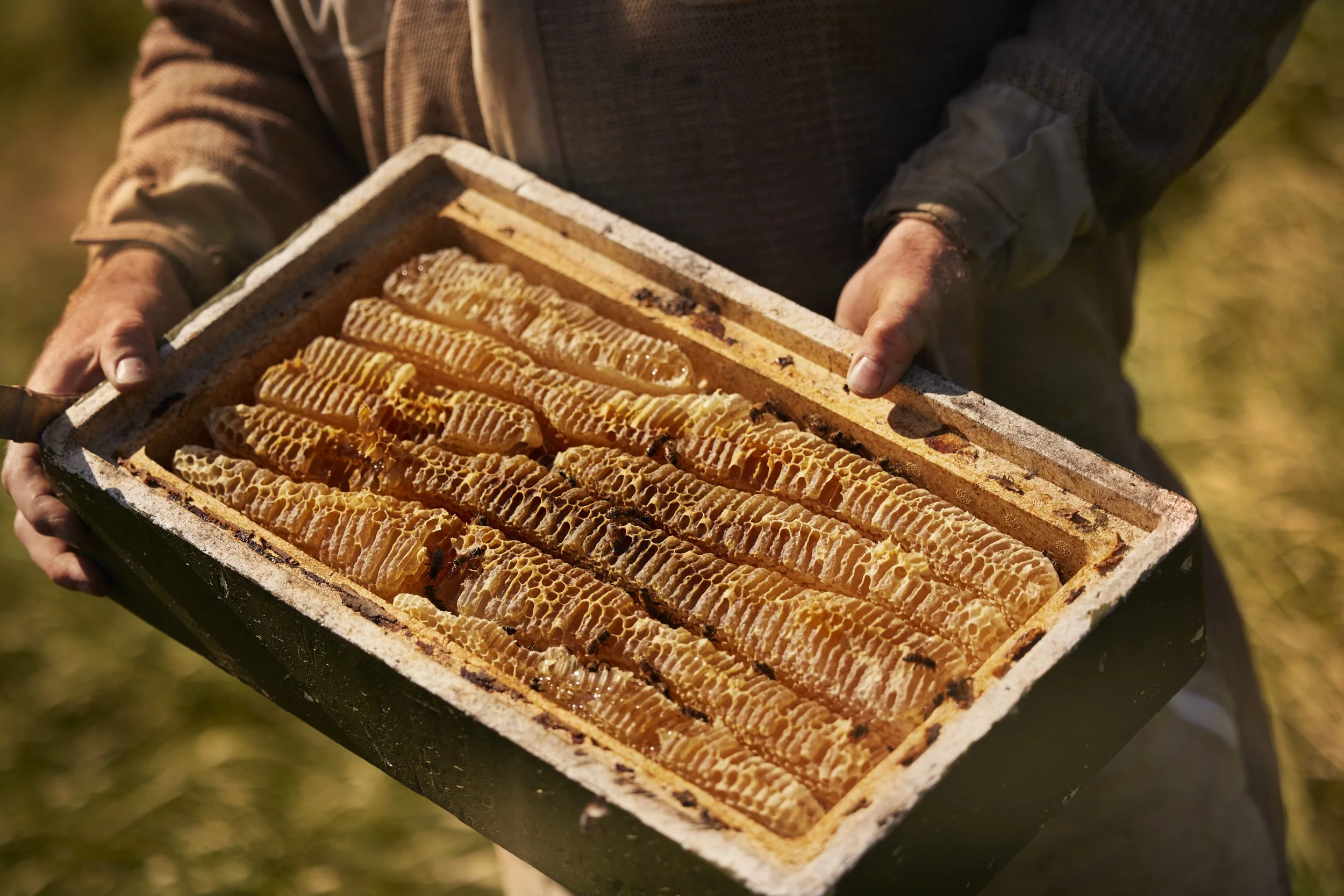 Foresight Cliveden House_0265.jpg