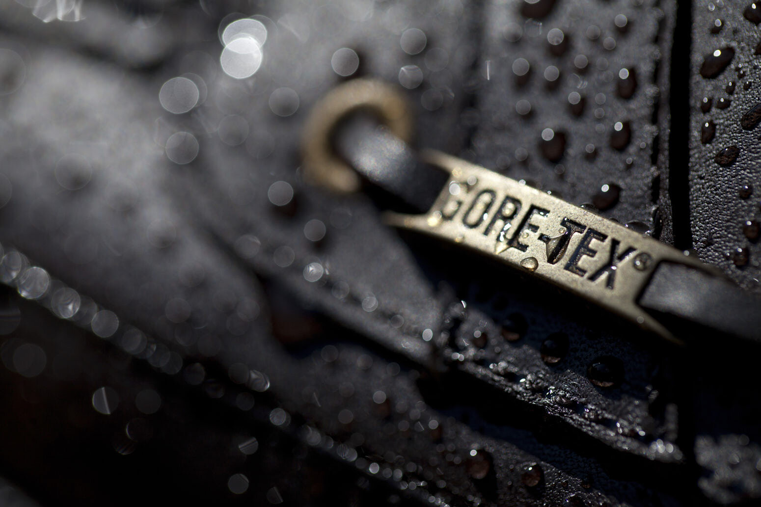 fashion-42 High Res.jpg