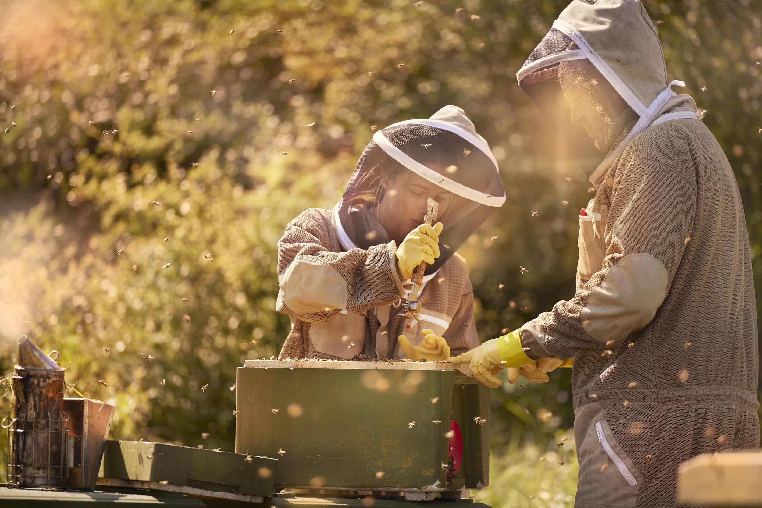 Foresight Cliveden House_0398low res.jpg