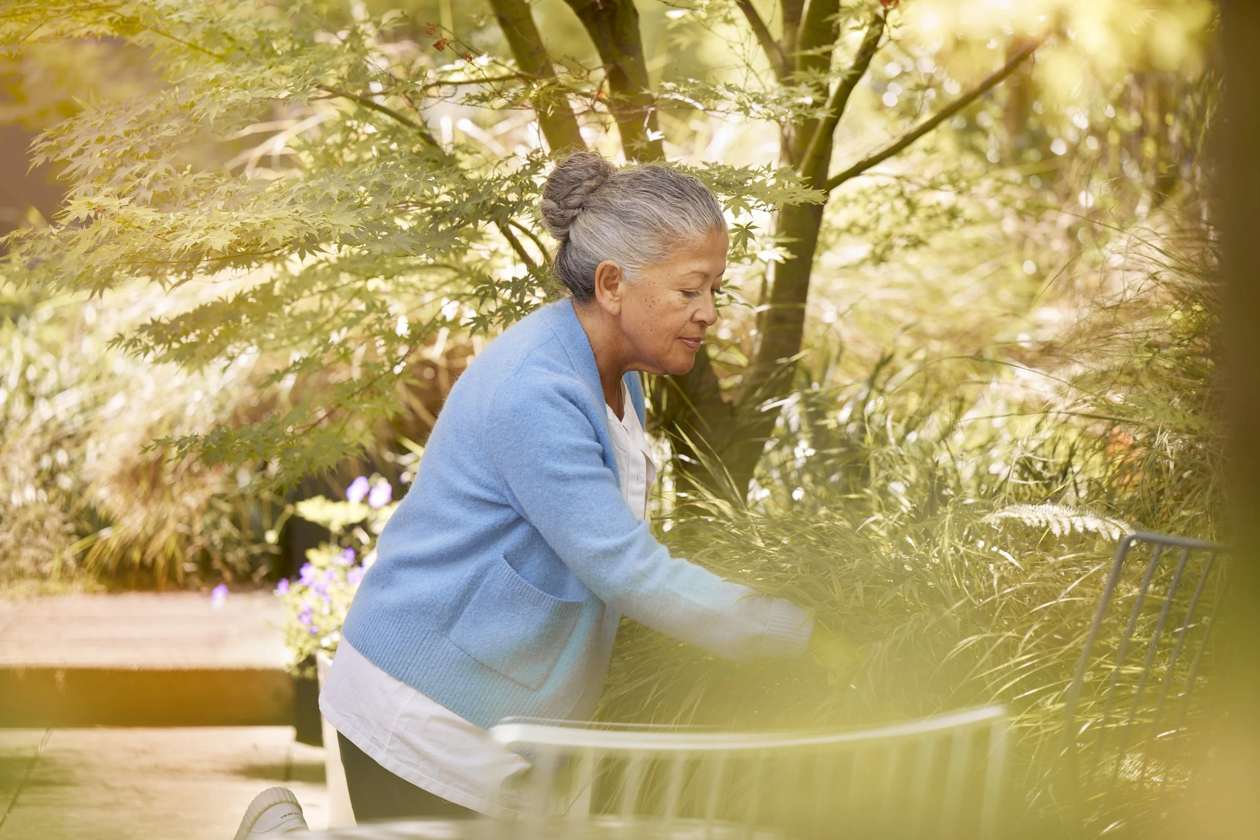 EF_2091 5v2low res.jpg