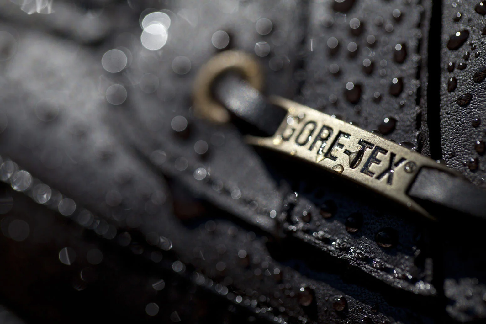 fashion-42 High Res.jpg