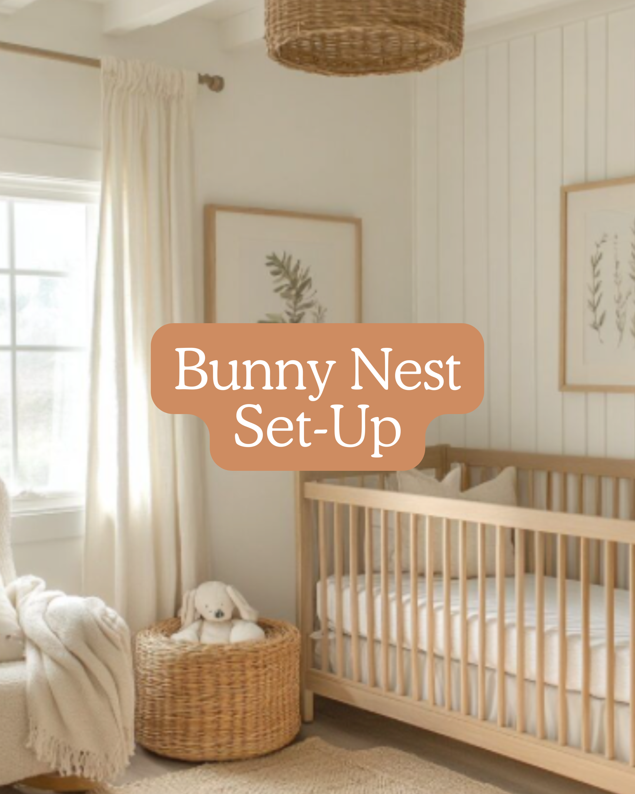 Bunny Nest Set-Up